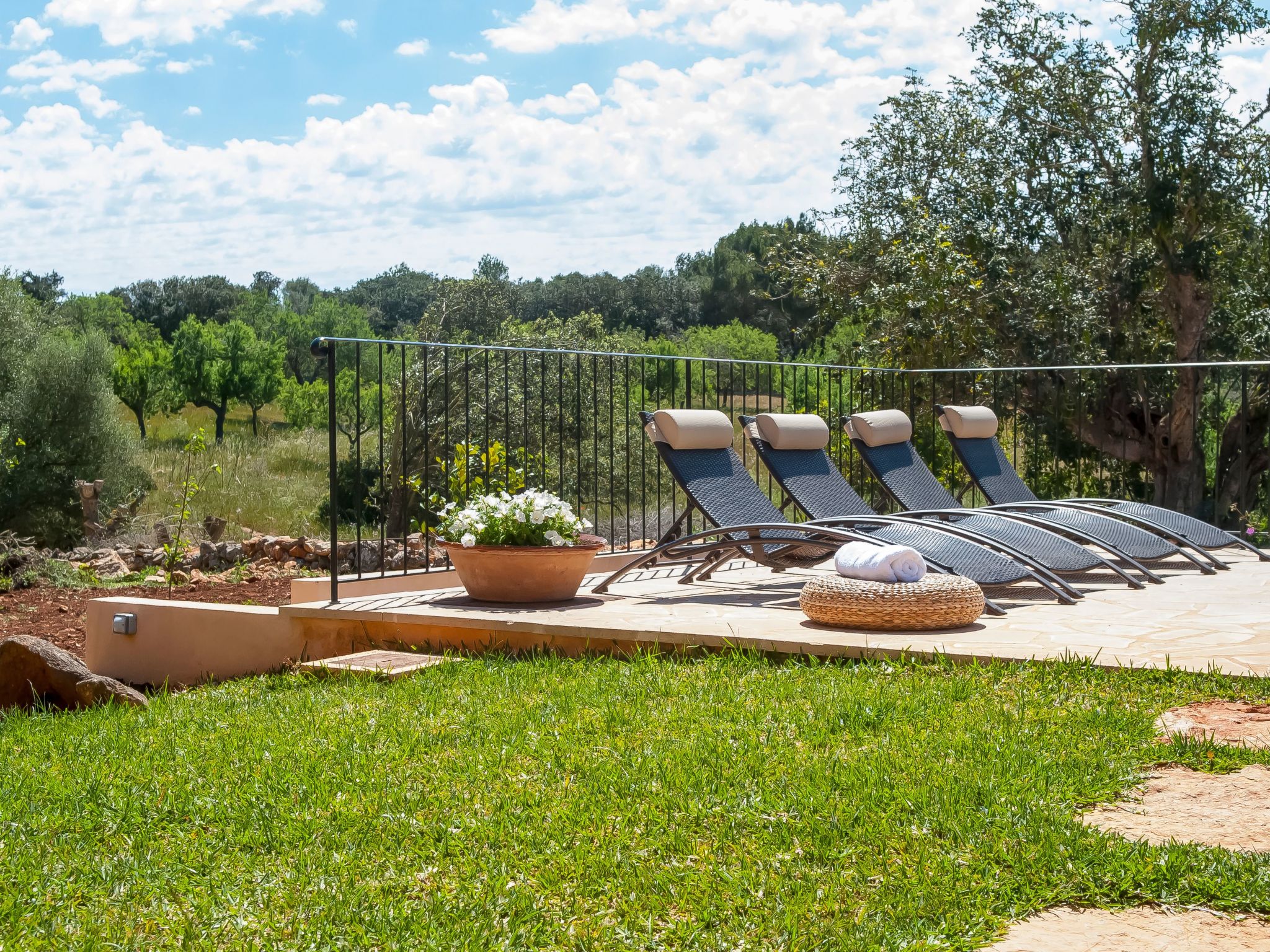 Salas Nou-Image-tags.info