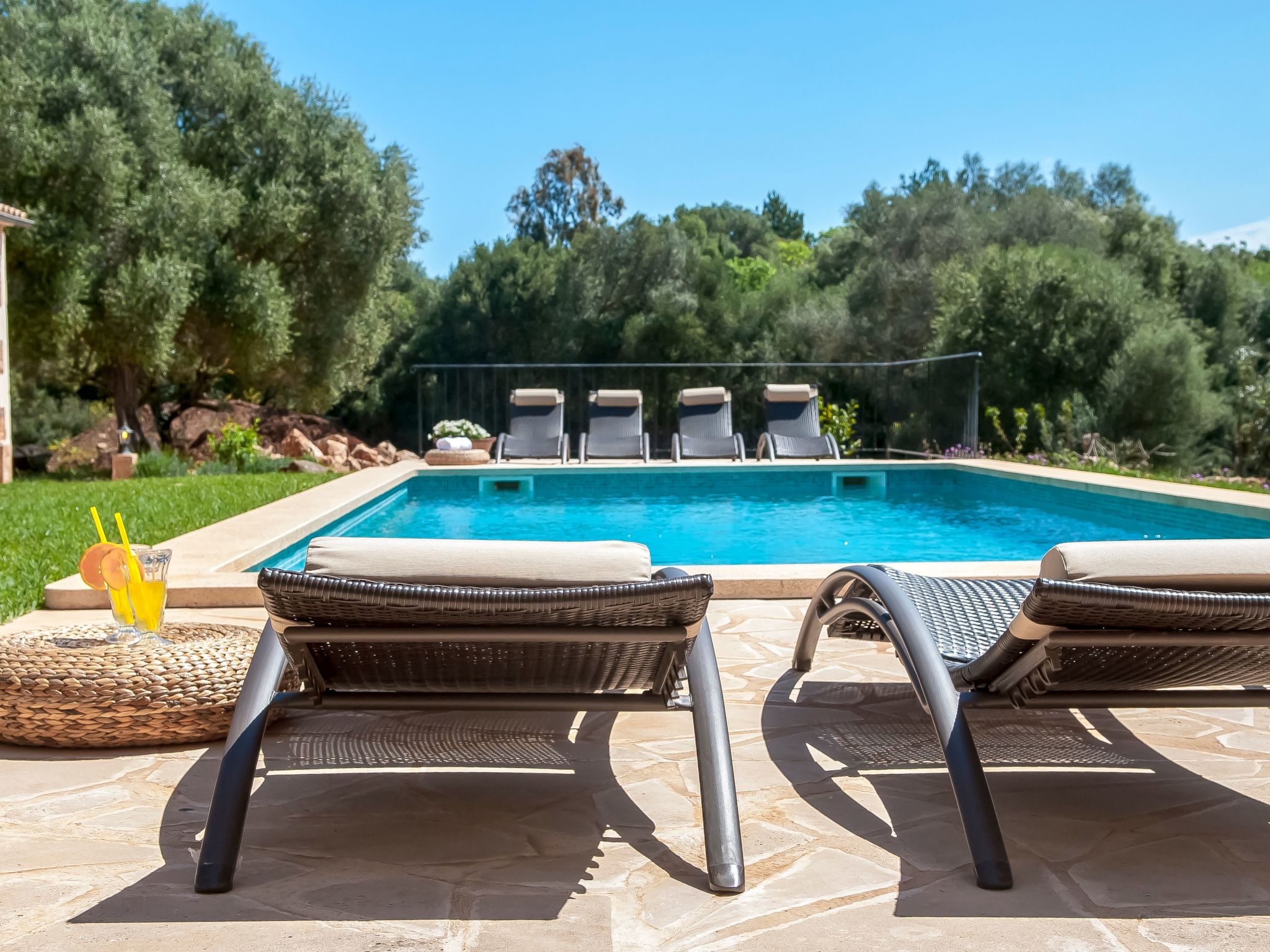 Salas Nou-Image-tags.info