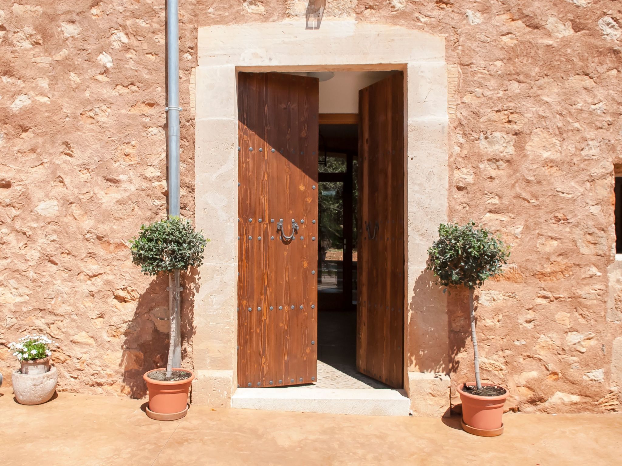 Salas Nou-Image-tags.info