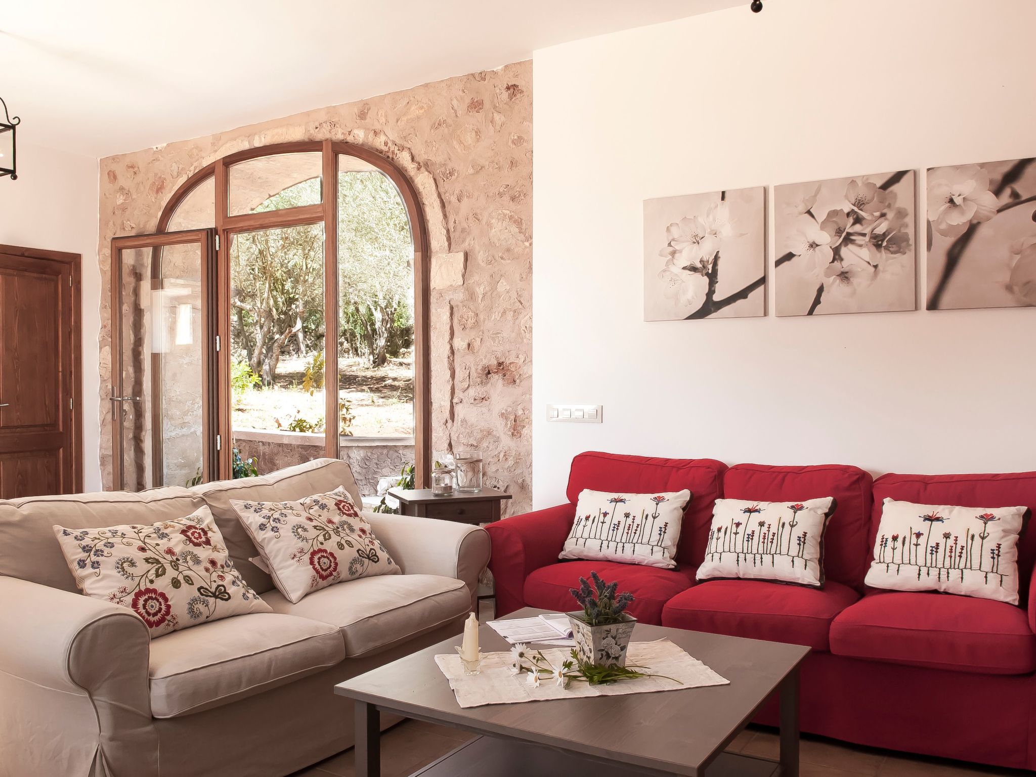 Salas Nou-Image-tags.info