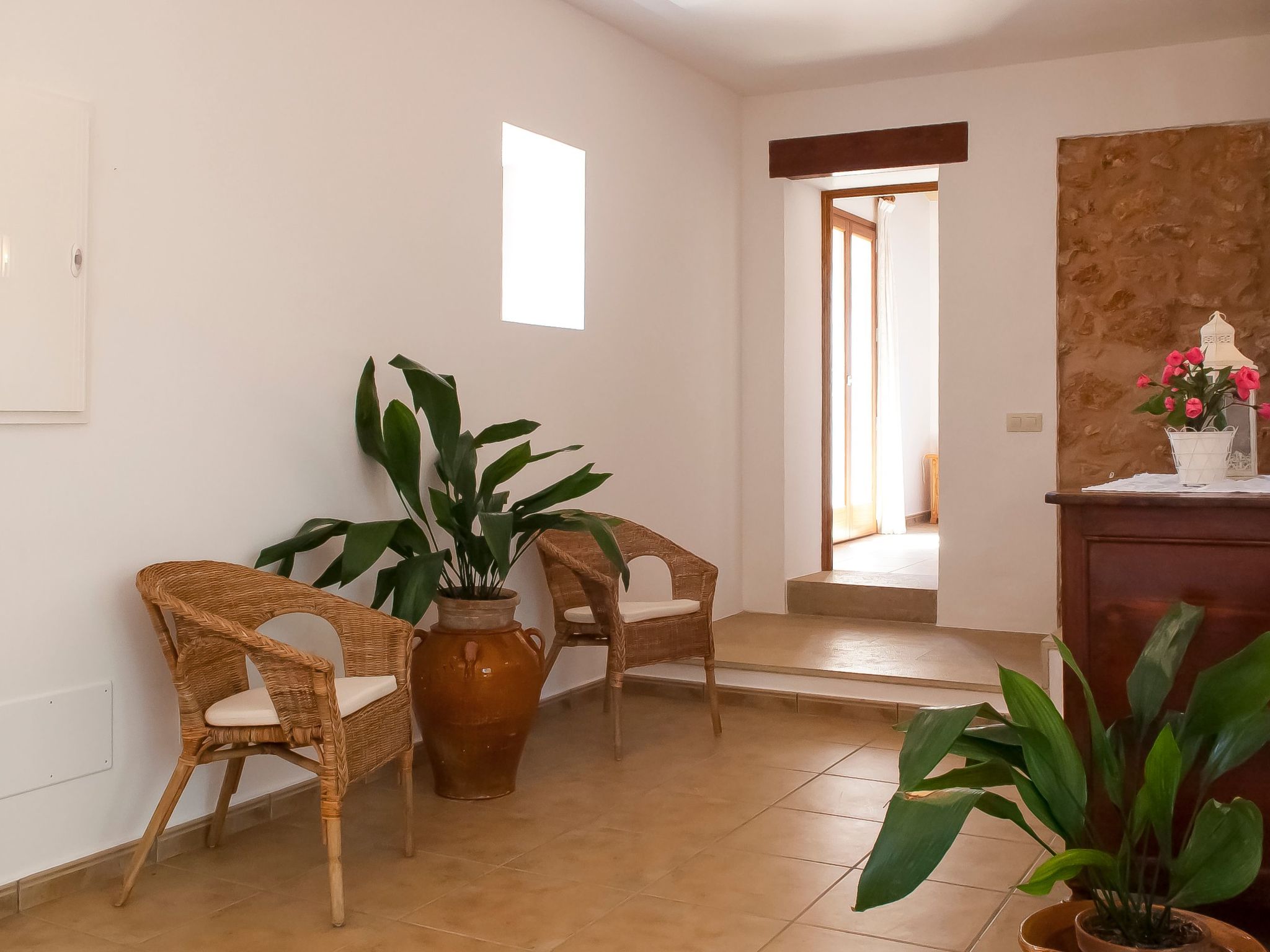 Salas Nou-Image-tags.info