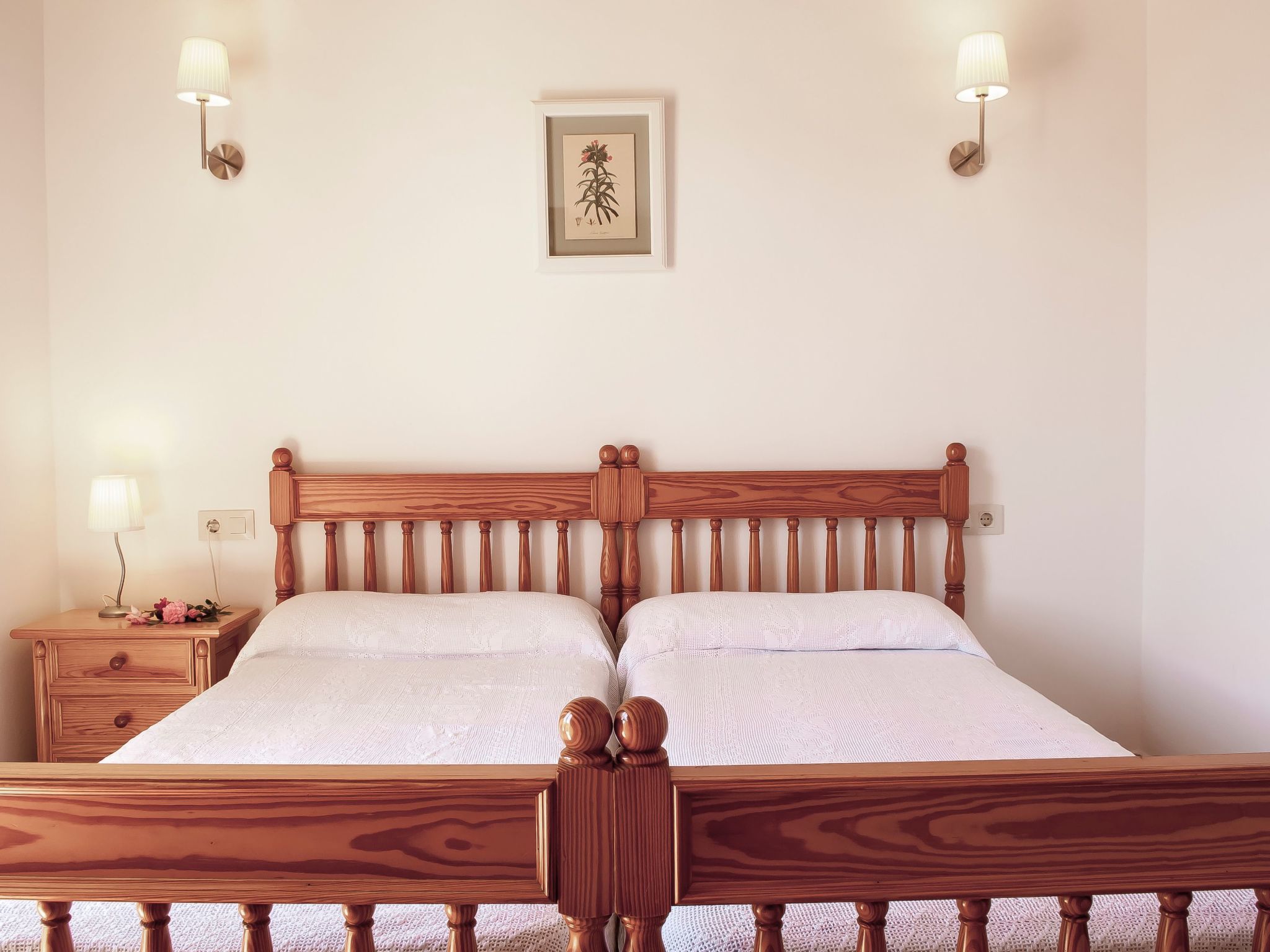 Salas Nou-Image-tags.info