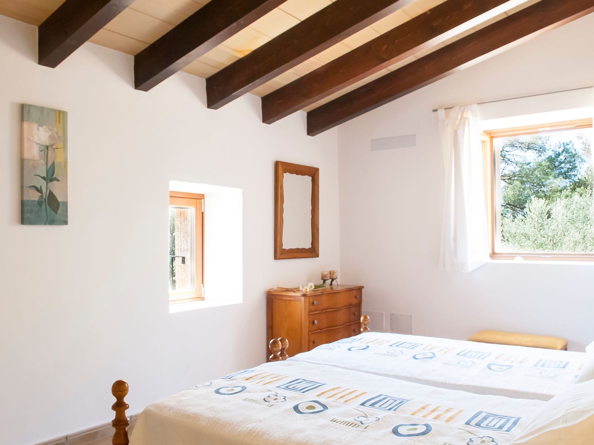 Salas Nou-Image-tags.info