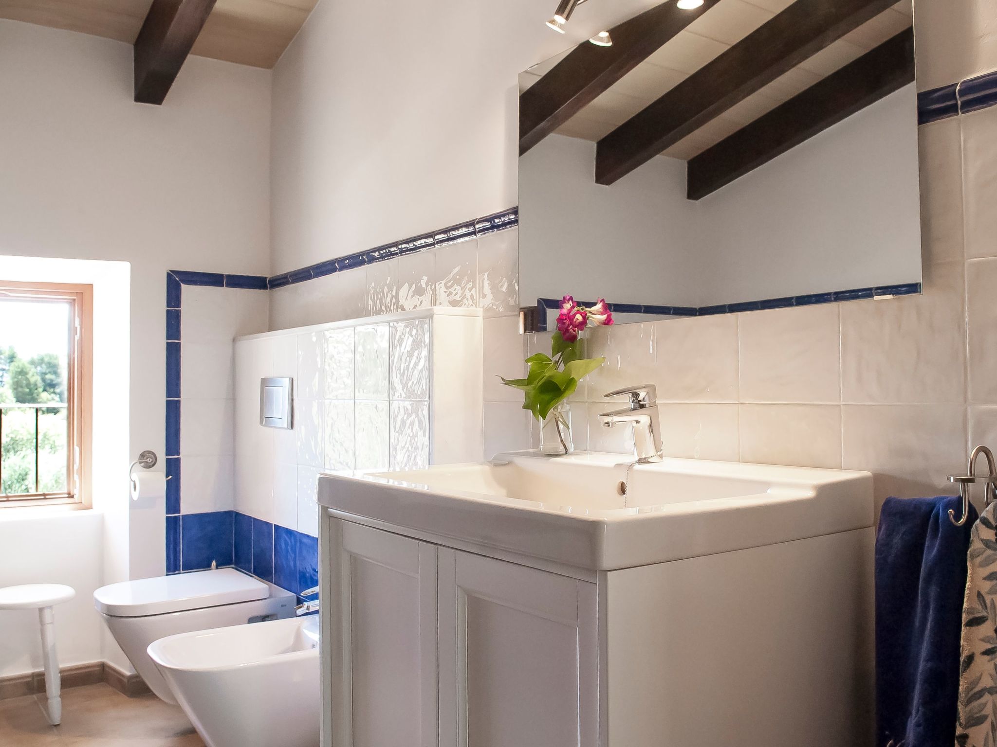 Salas Nou-Image-tags.info