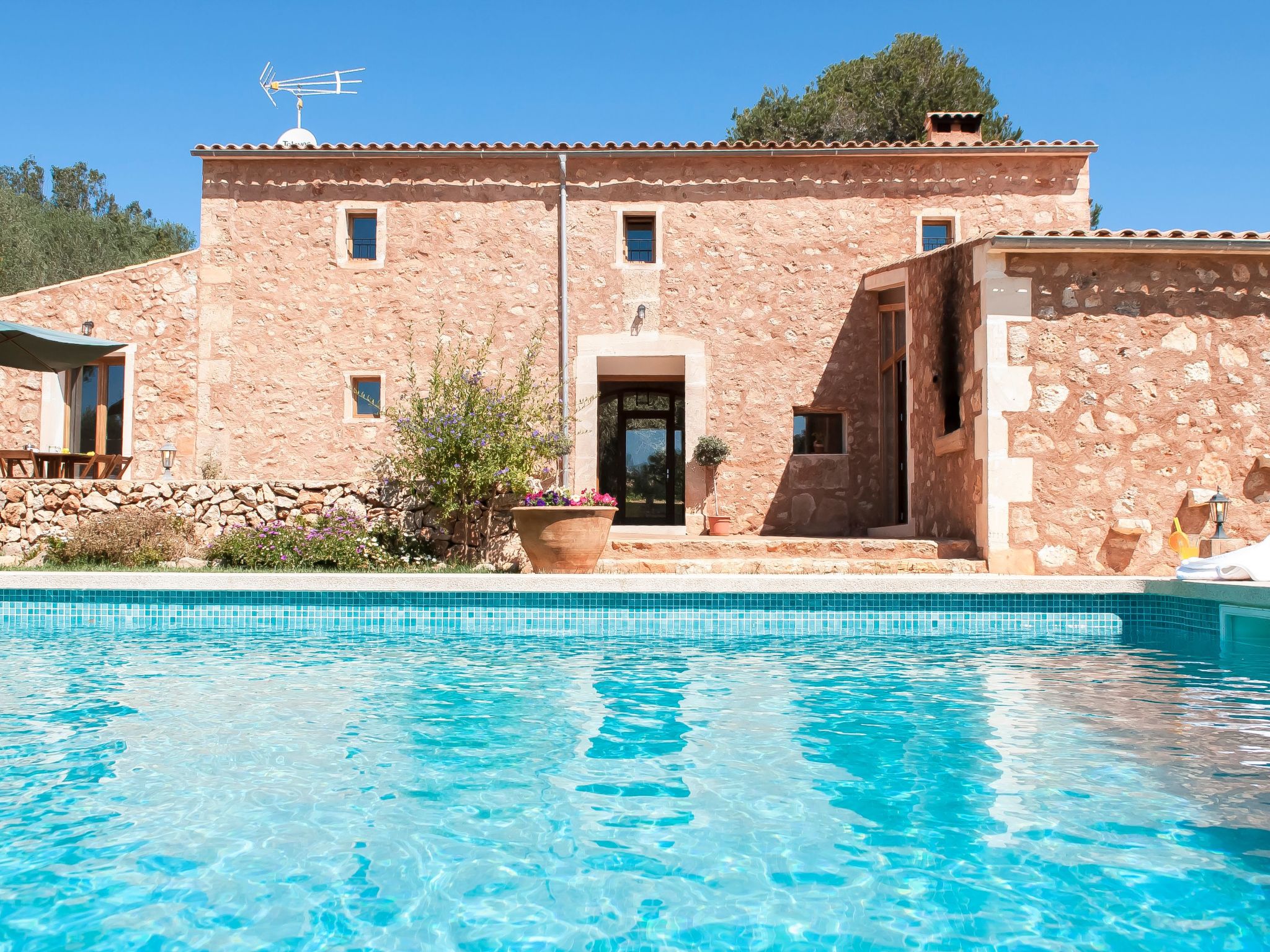 Salas Nou-Image-tags.info