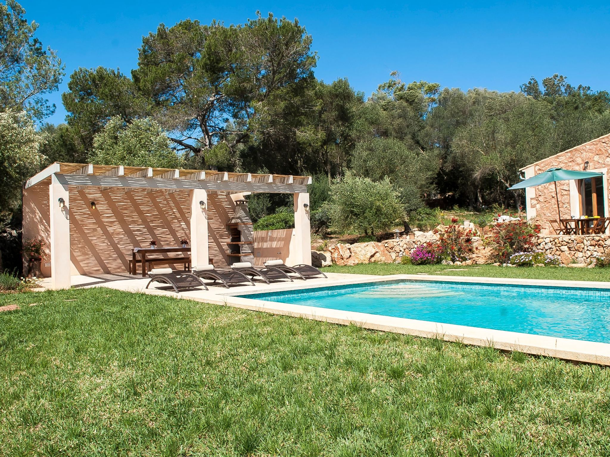 Salas Nou-Image-tags.info