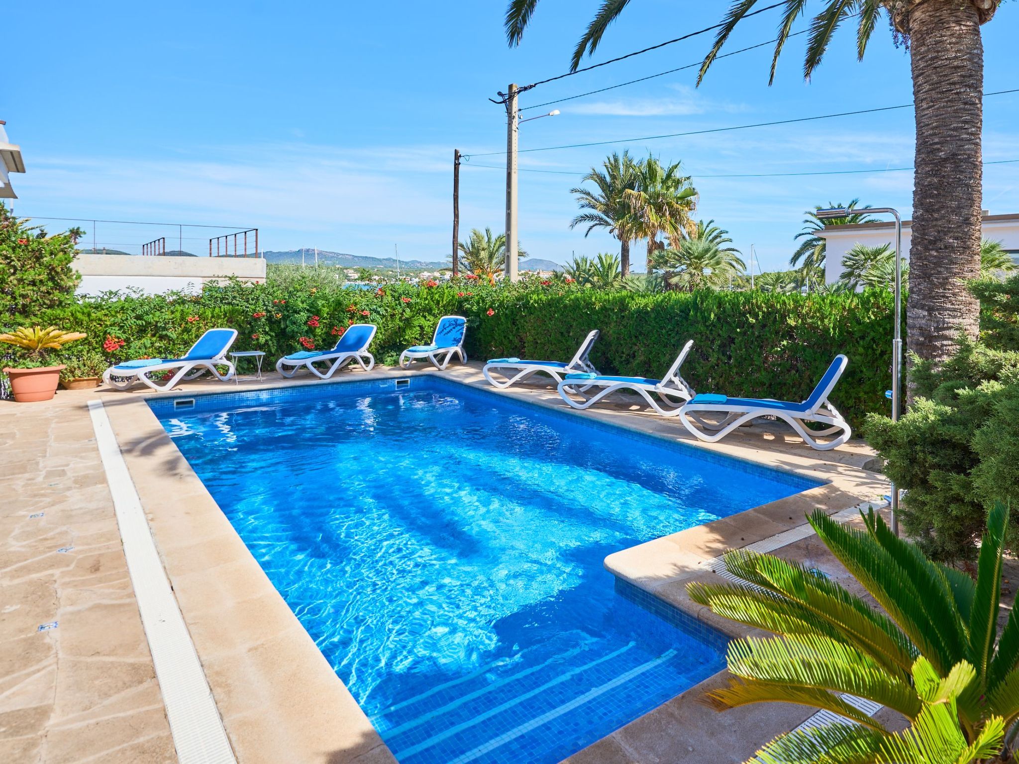 Mesquida-Image-tags.info