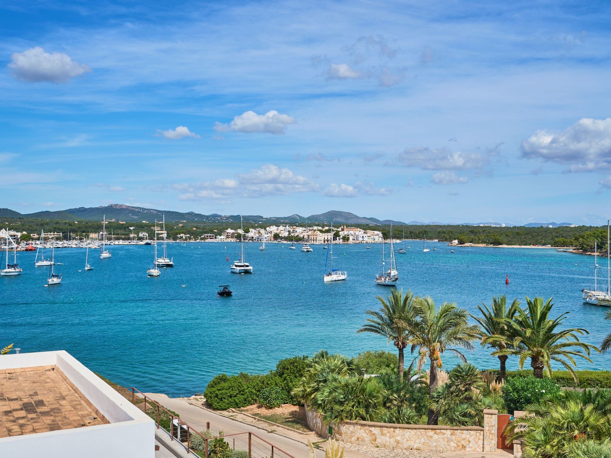 Mesquida-Image-tags.info