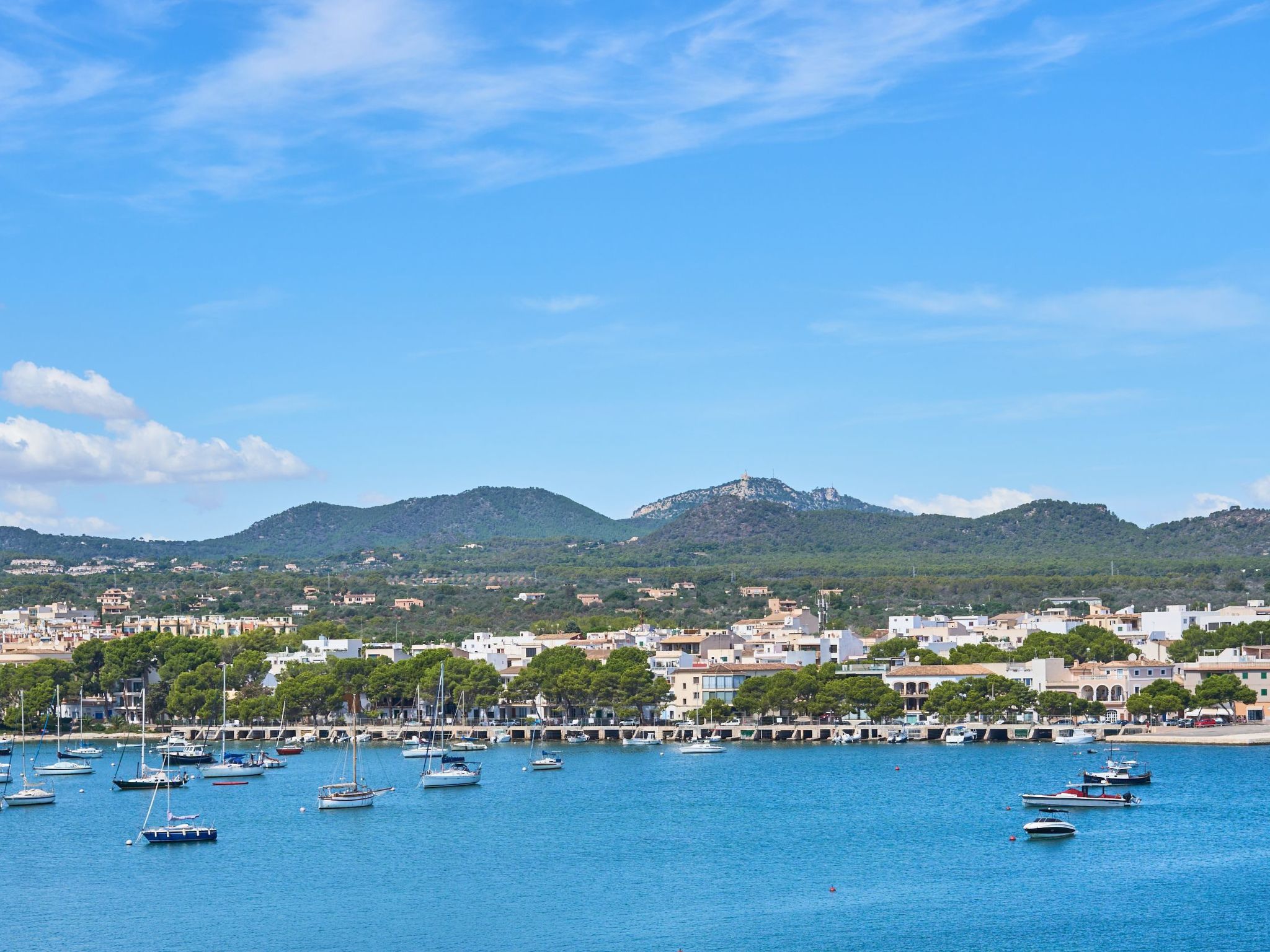 Mesquida-Image-tags.info