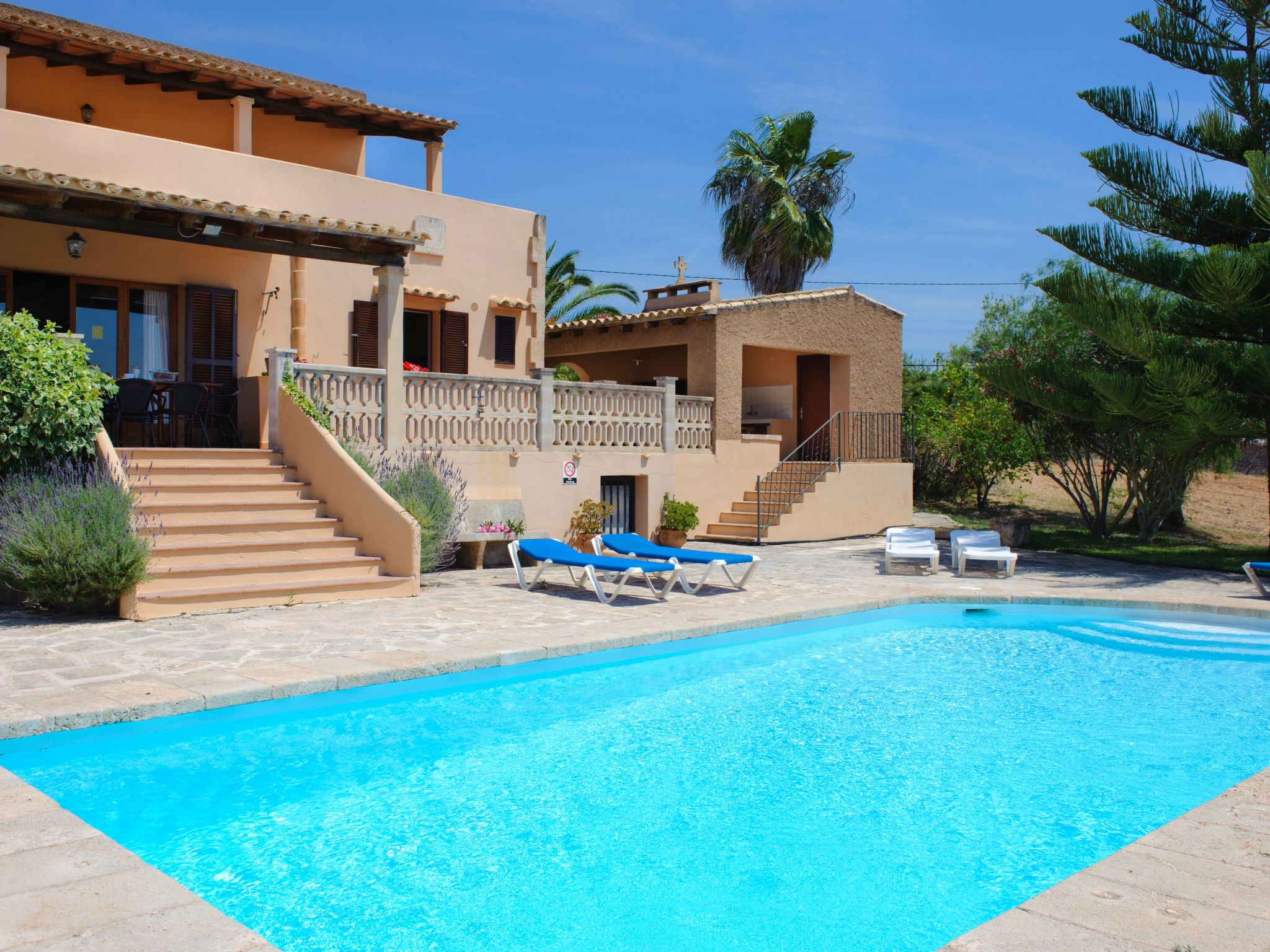 Era des Pou-Image-tags.info