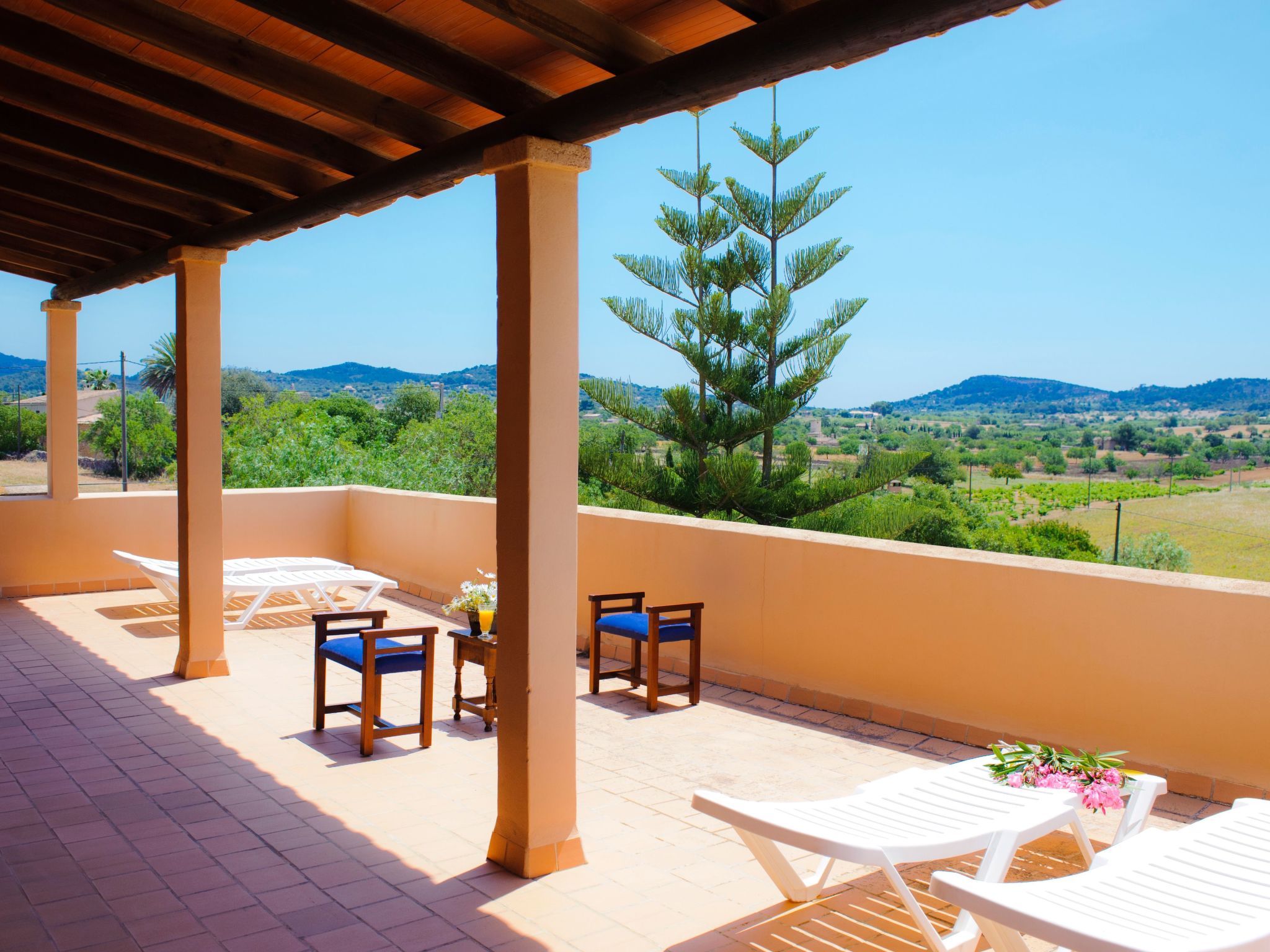 Era des Pou-Image-tags.info