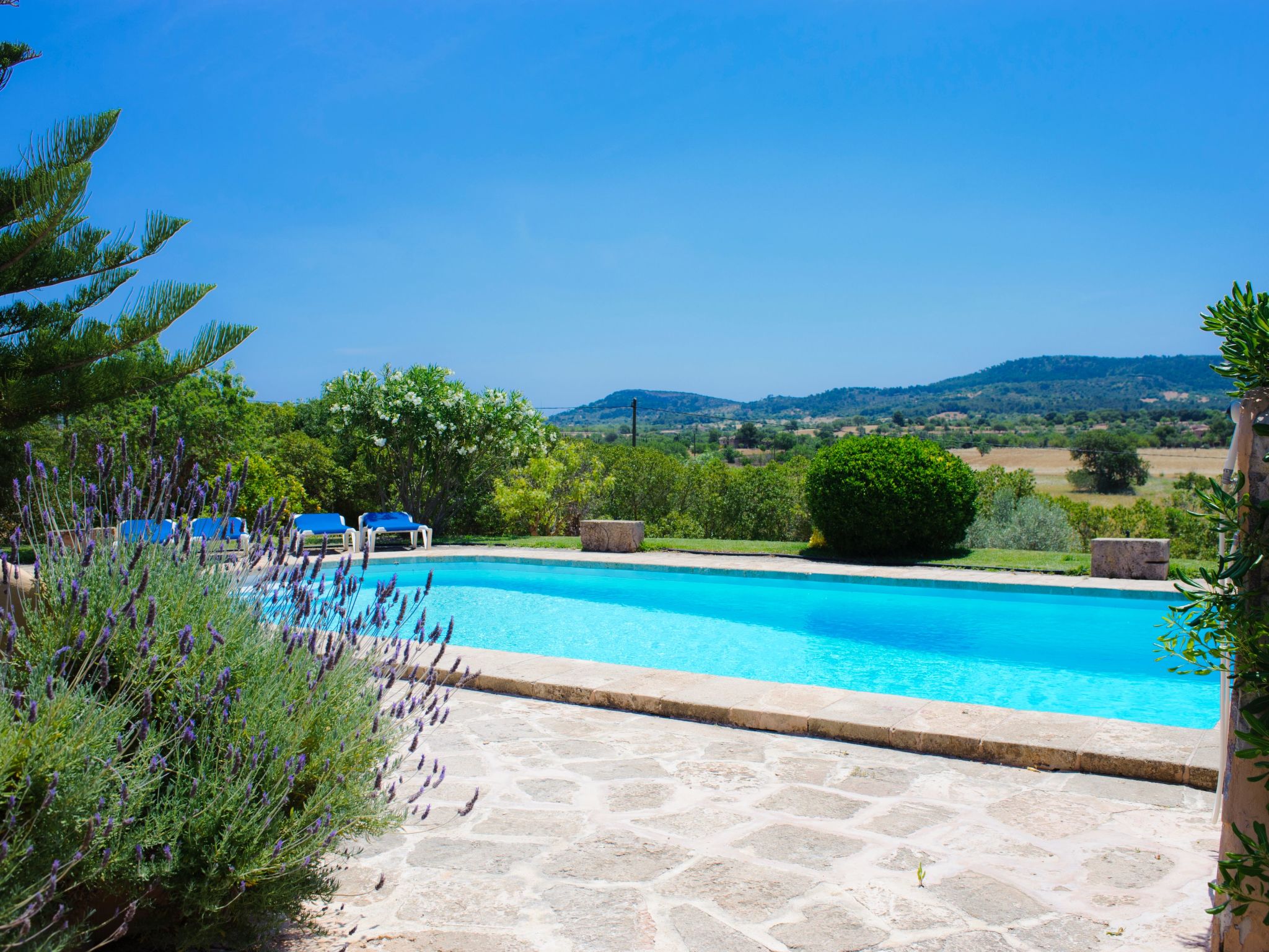 Era des Pou-Image-tags.info