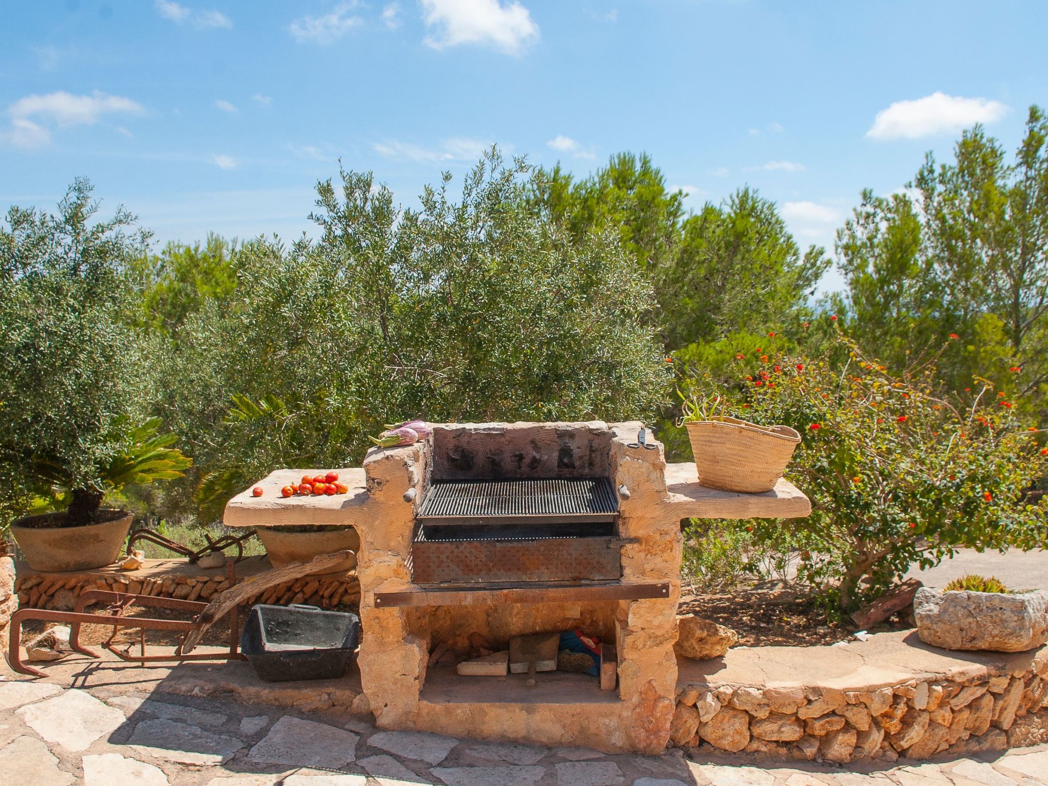 Maria Magdalena Golf-Image-tags.info