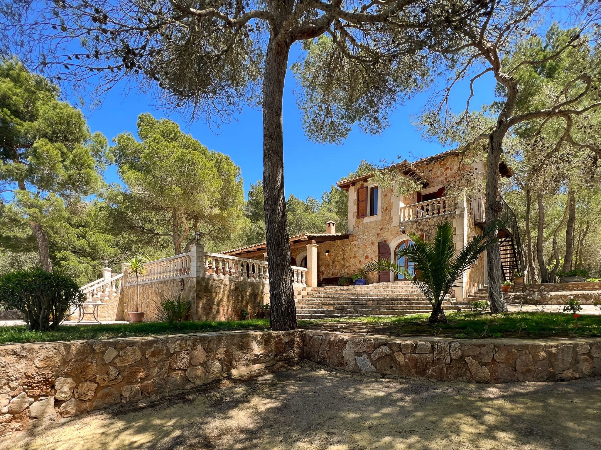 Binifarda Dor-Image-tags.info