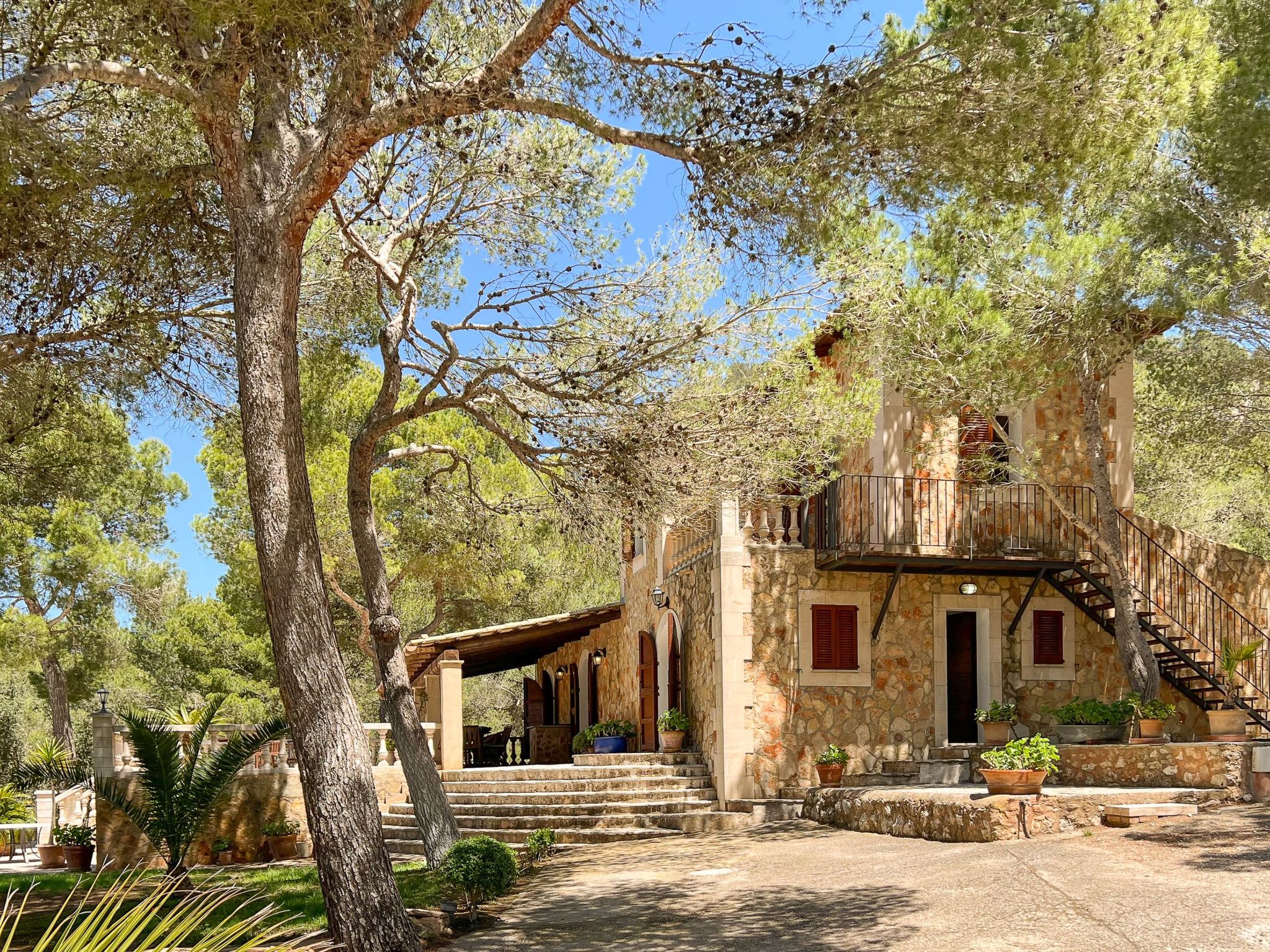 Binifarda Dor-Image-tags.info