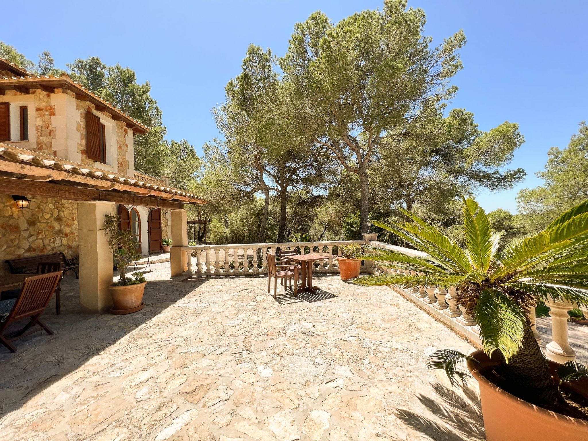 Binifarda Dor-Image-tags.info