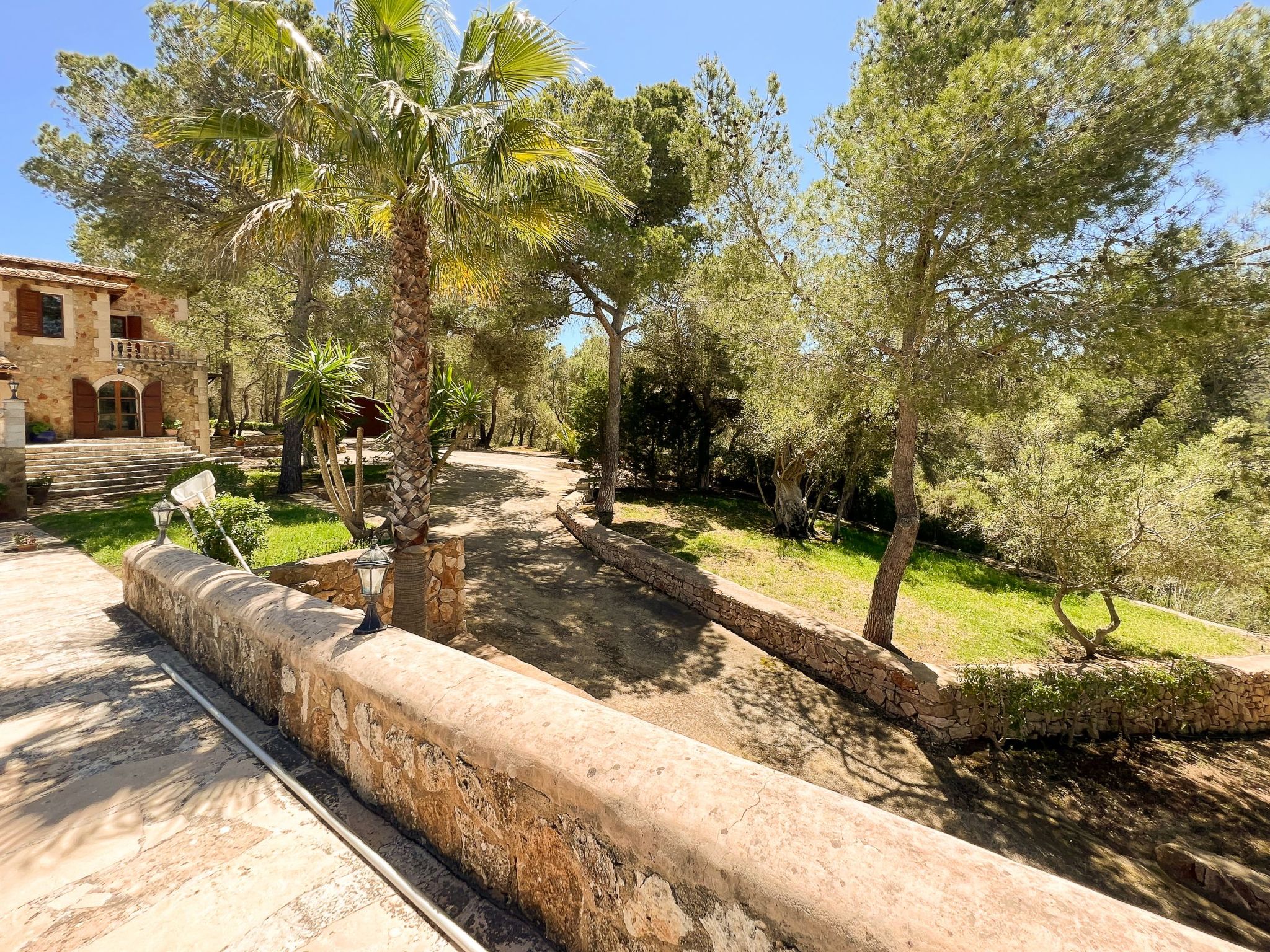 Binifarda Dor-Image-tags.info