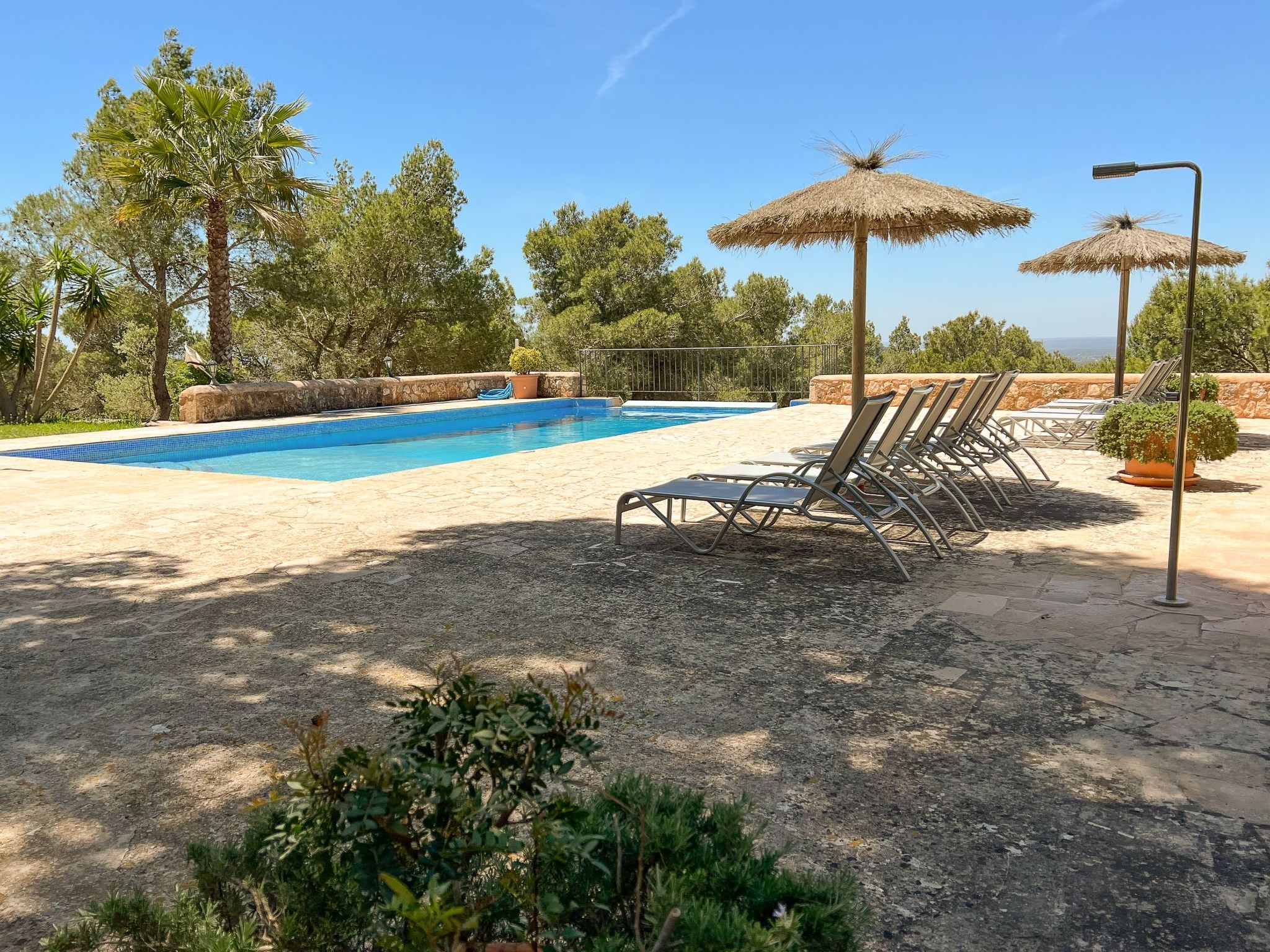 Binifarda Dor-Image-tags.info