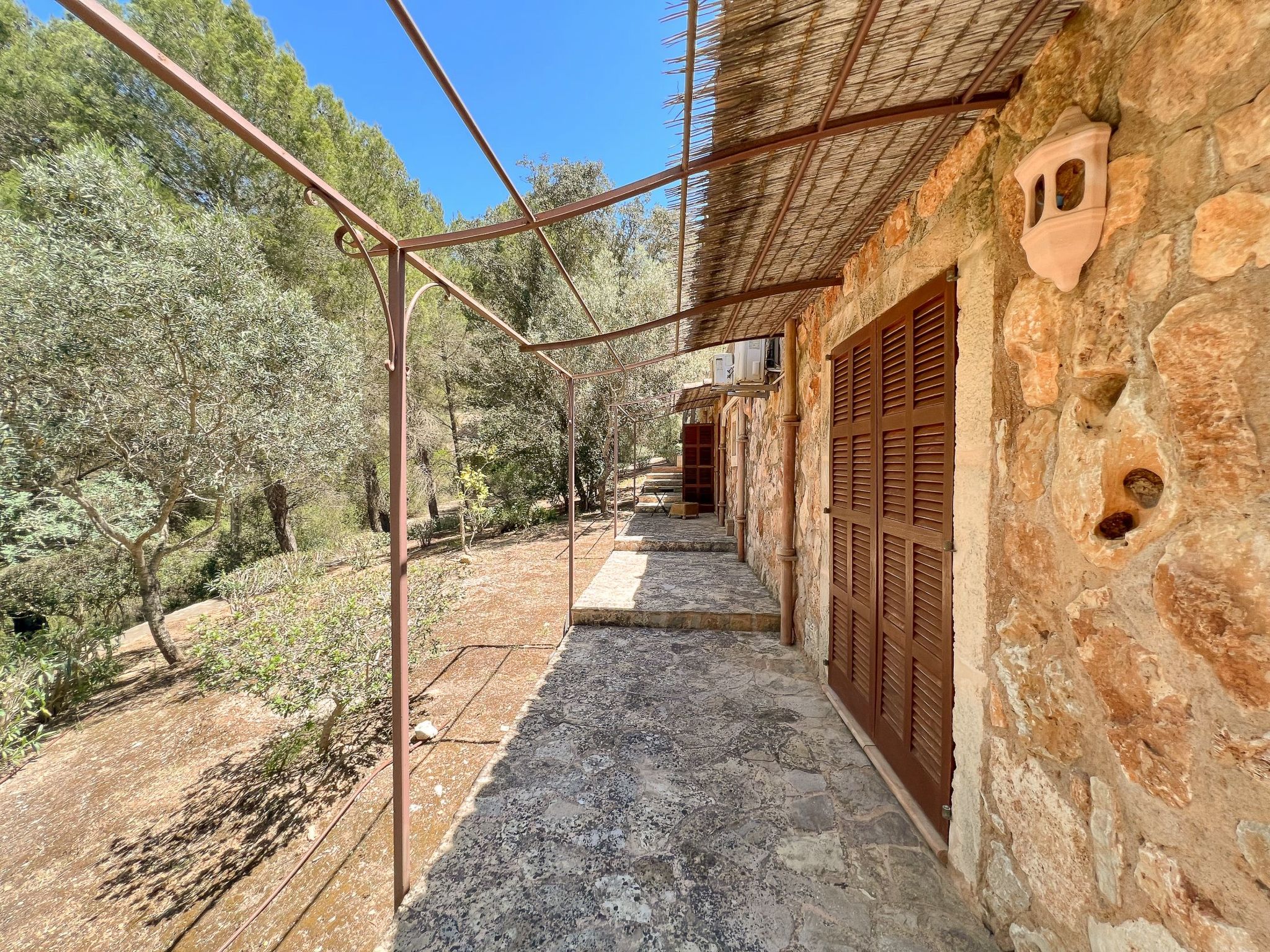 Binifarda Dor-Image-tags.info