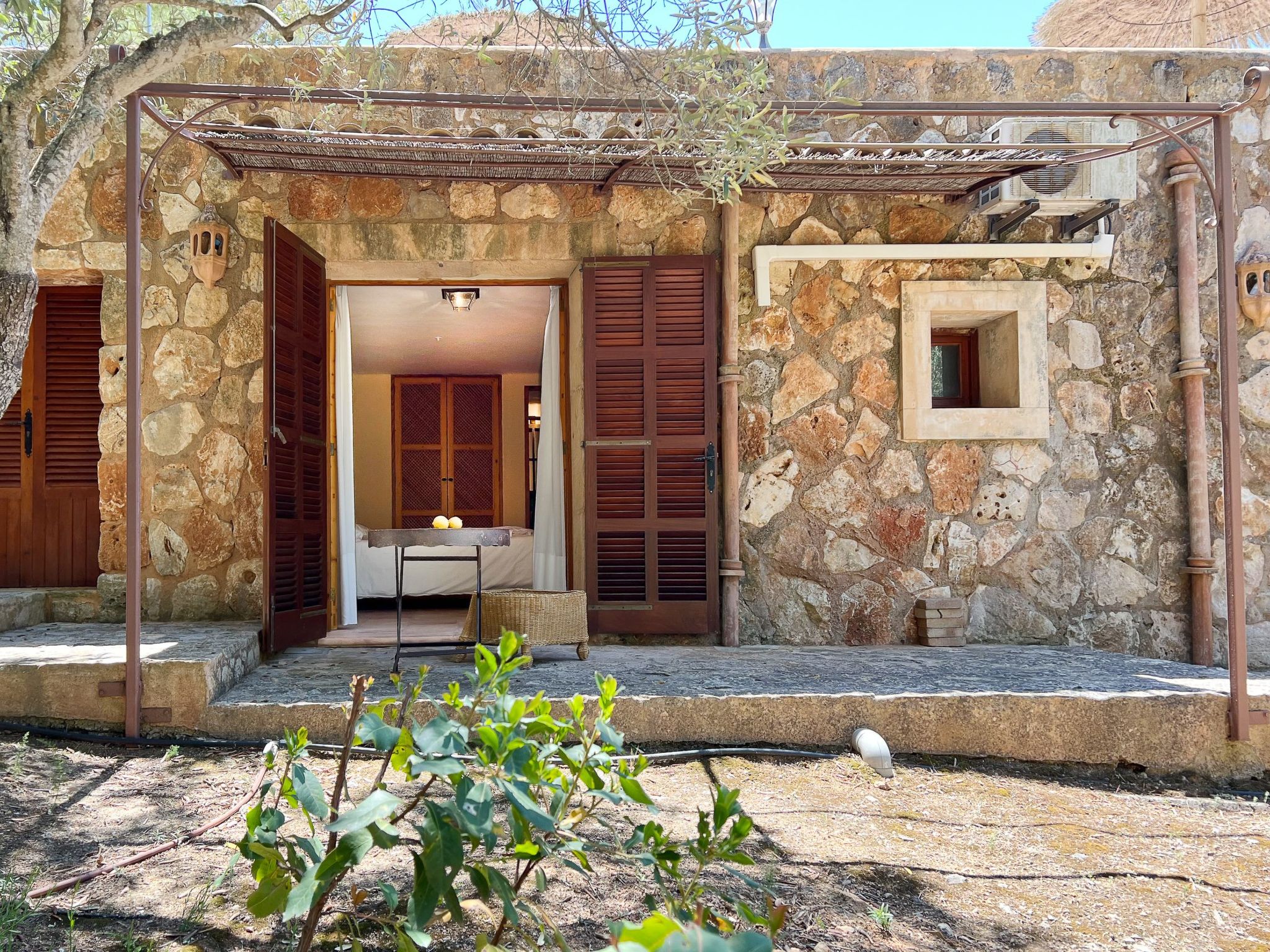 Binifarda Dor-Image-tags.info