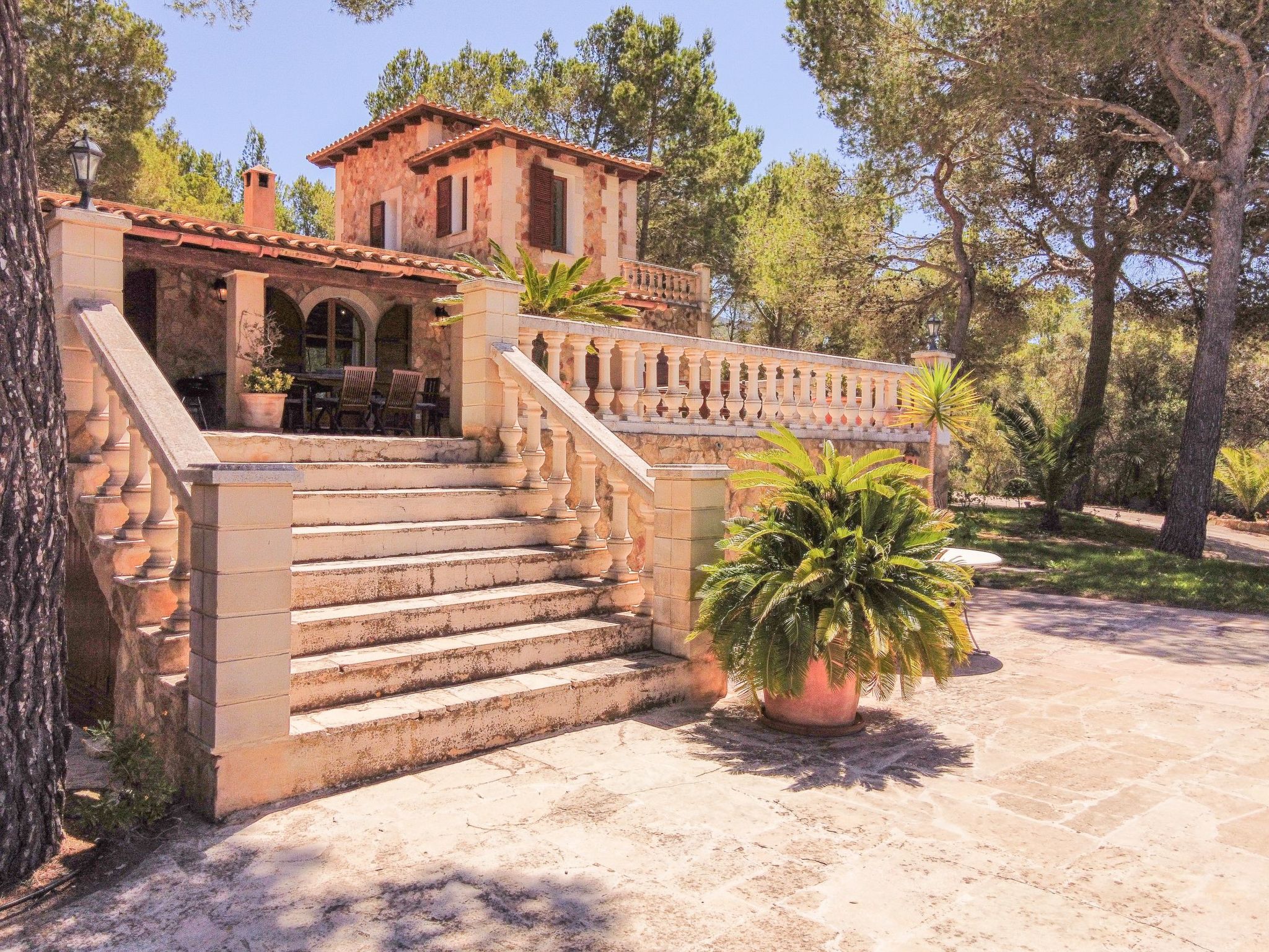 Binifarda Dor-Image-tags.info