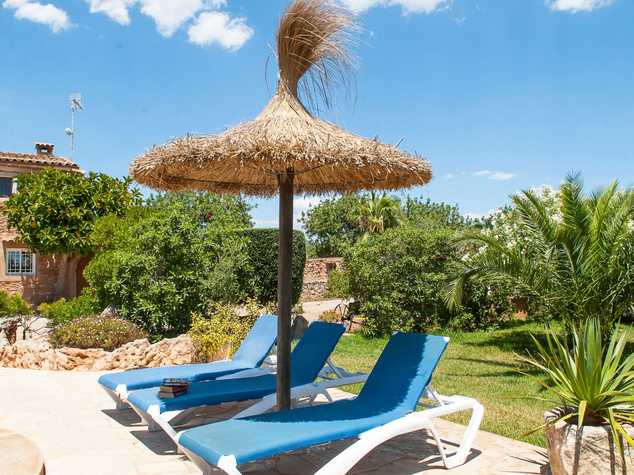 Tanca Nova-Image-tags.info