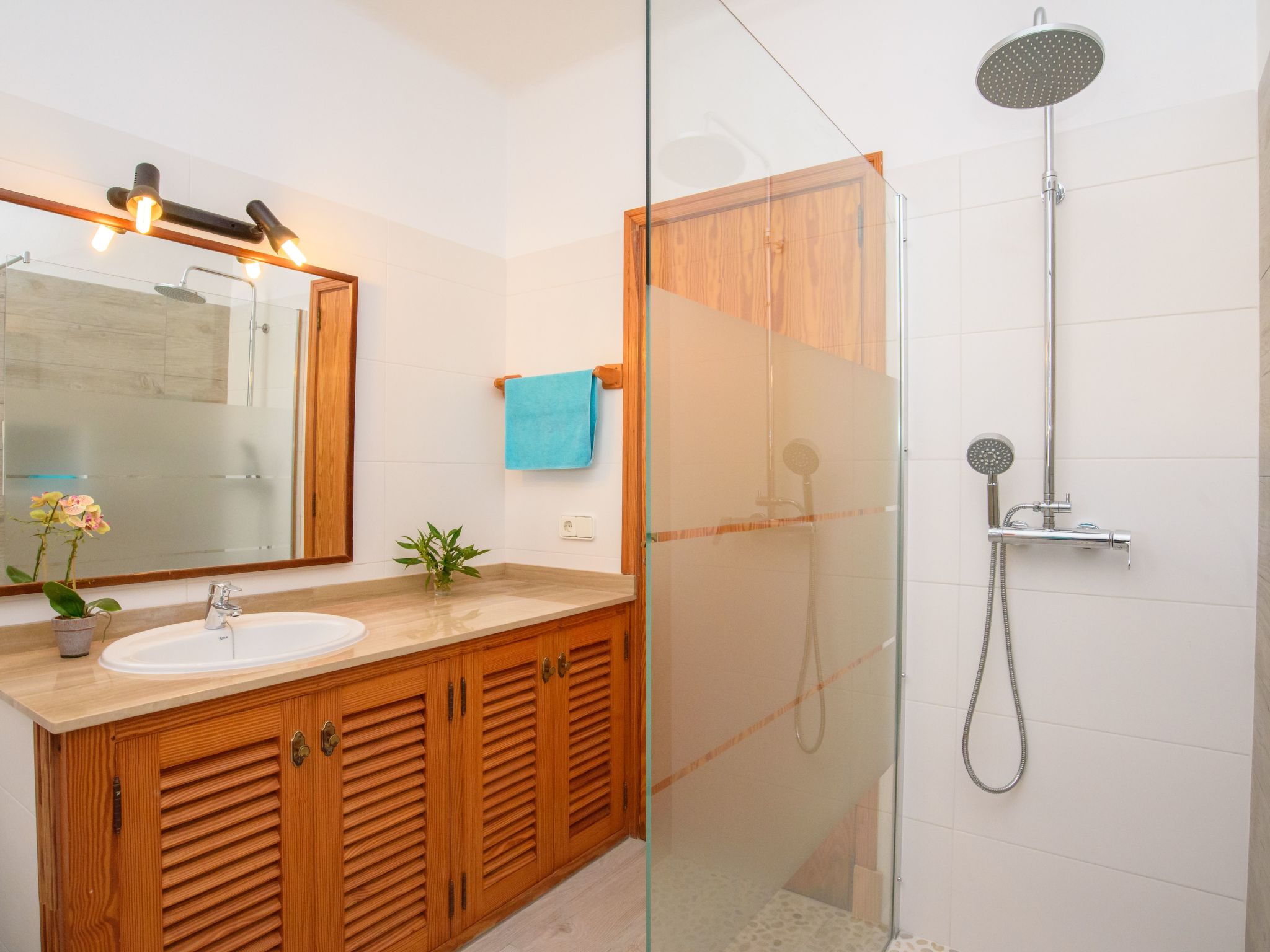 Tanca Nova-Image-tags.info