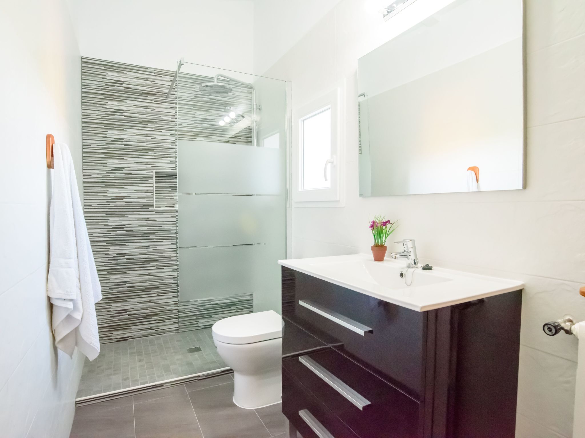 Tanca Nova-Image-tags.info