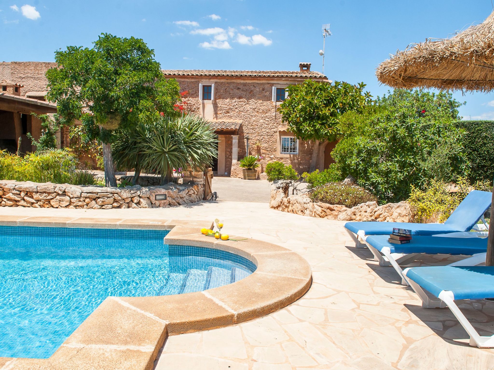 Tanca Nova-Image-tags.info