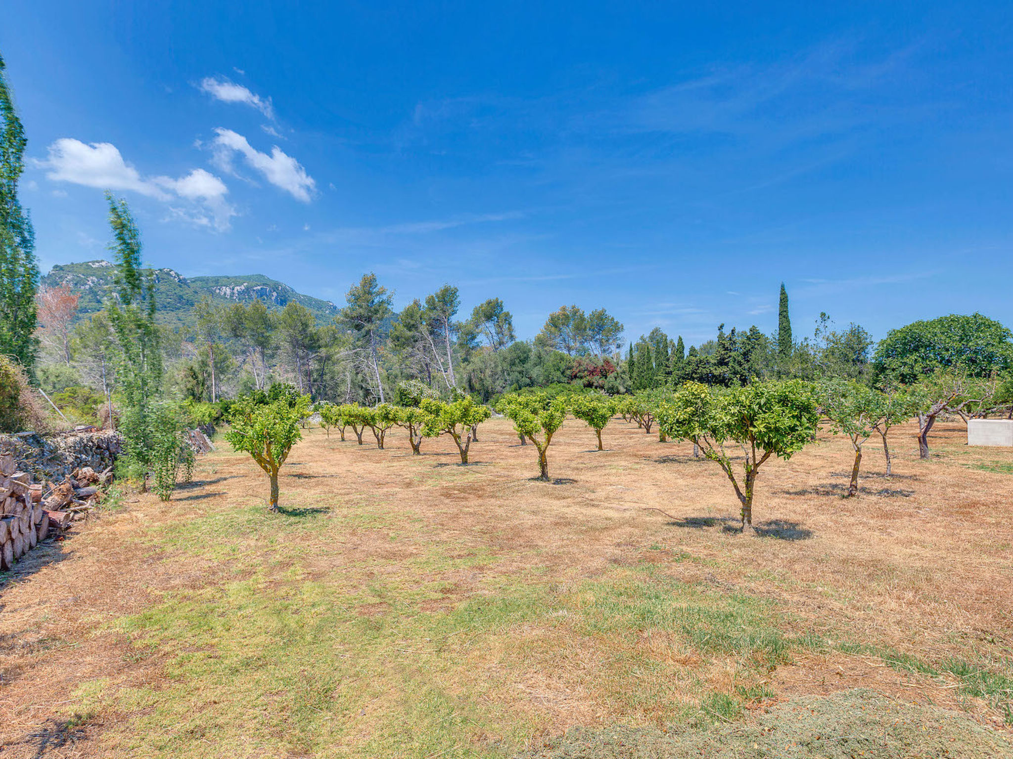 VILLA CAN SION - Buiten