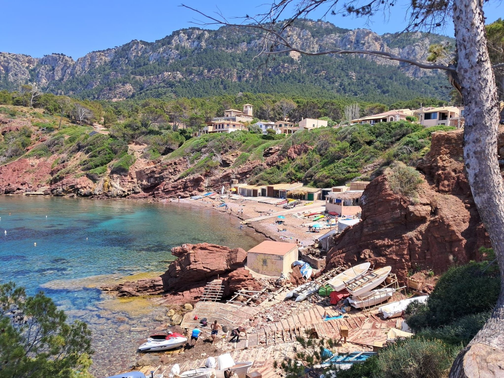 Cas Metge-Image-tags.info