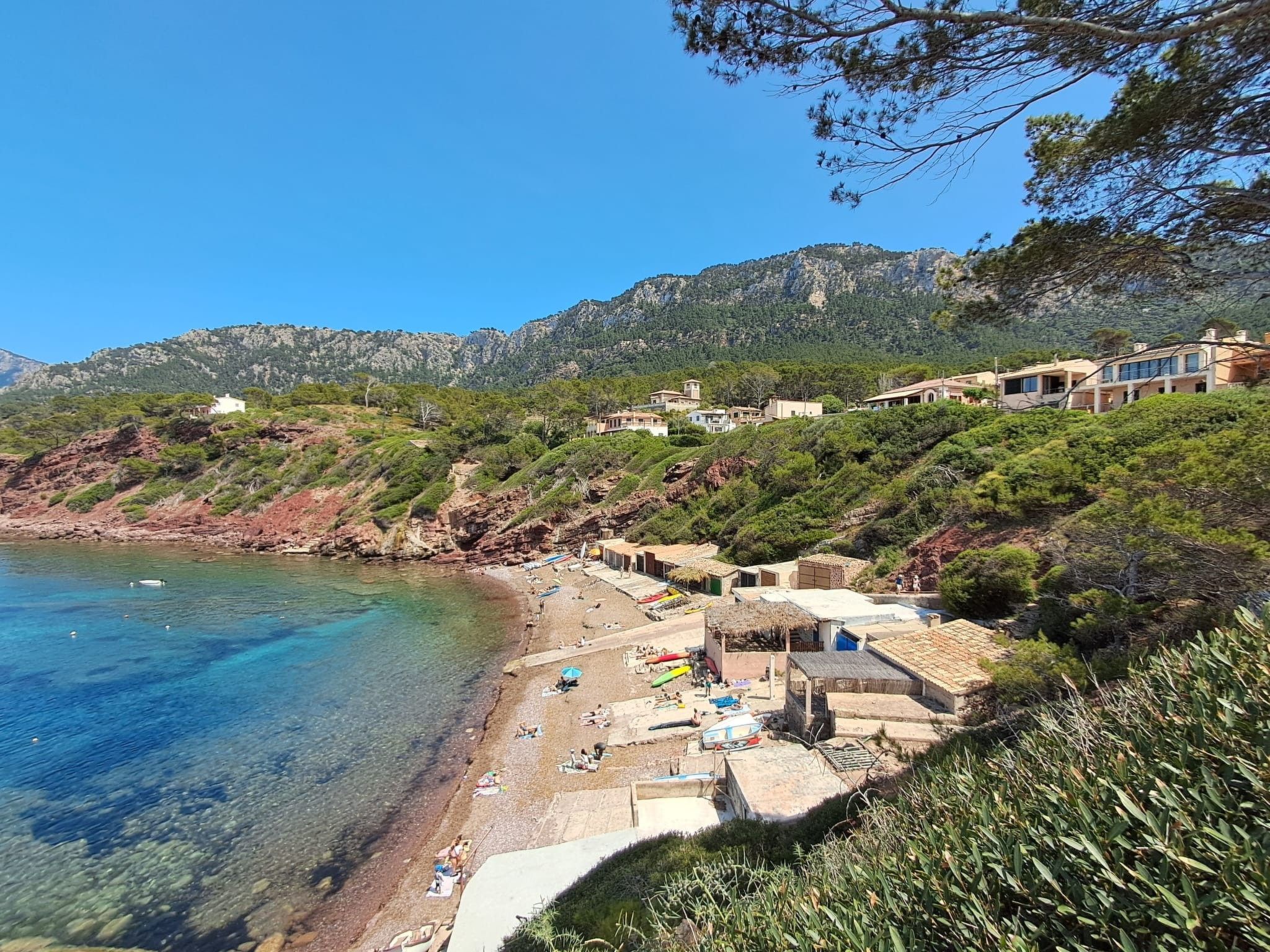 Cas Metge-Image-tags.info