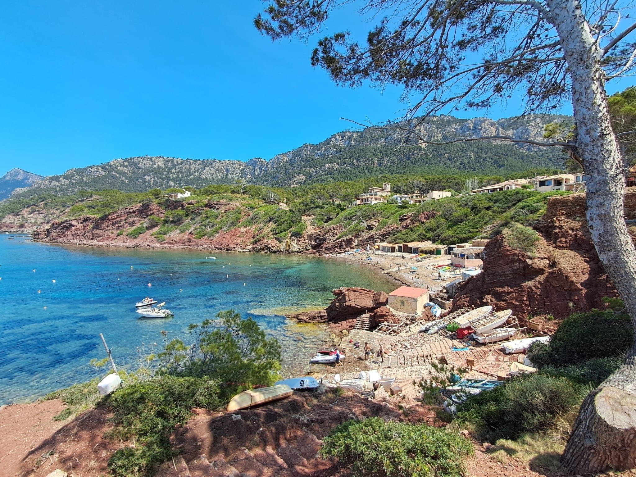 Cas Metge-Image-tags.info