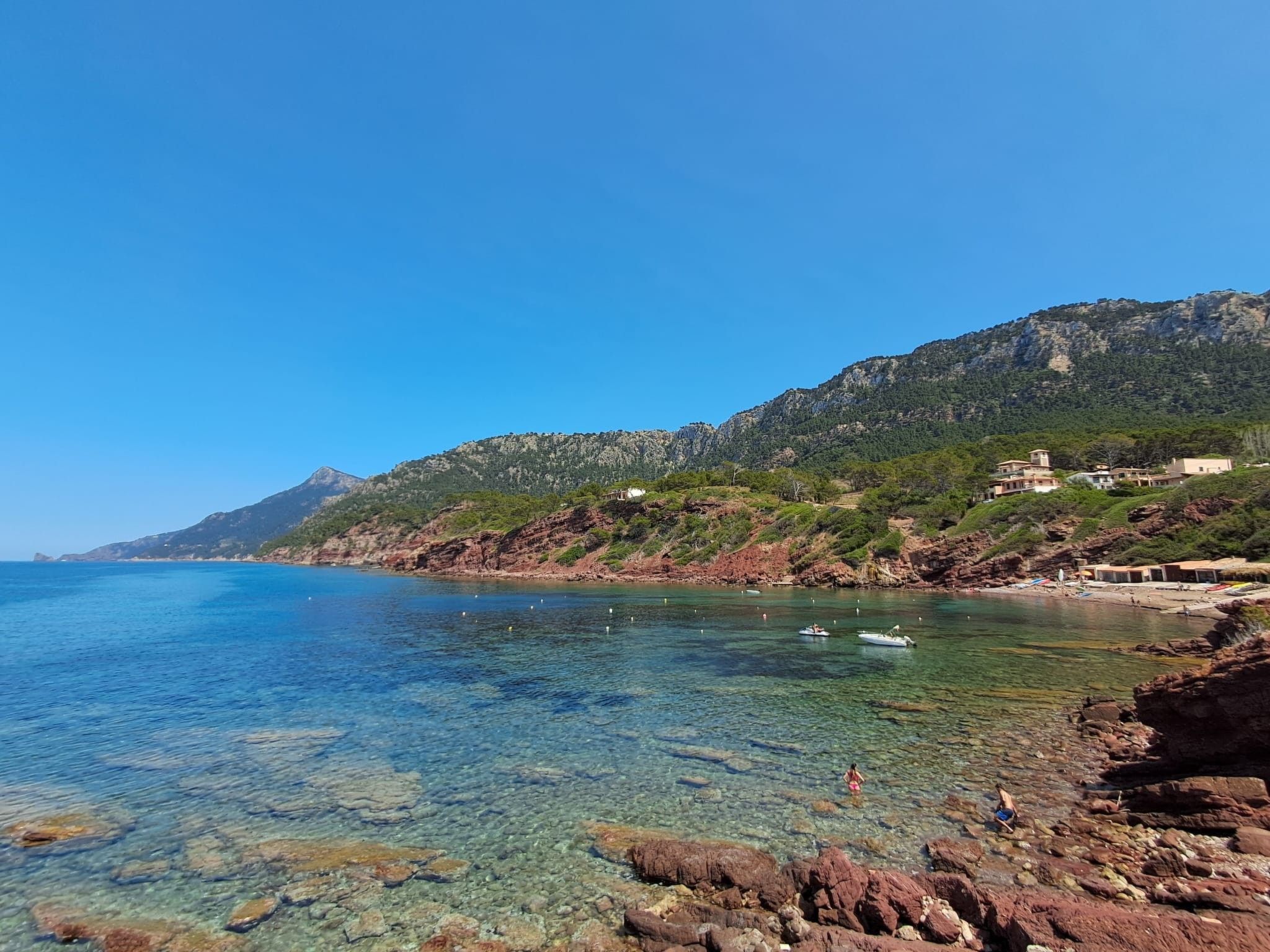 Cas Metge-Image-tags.info