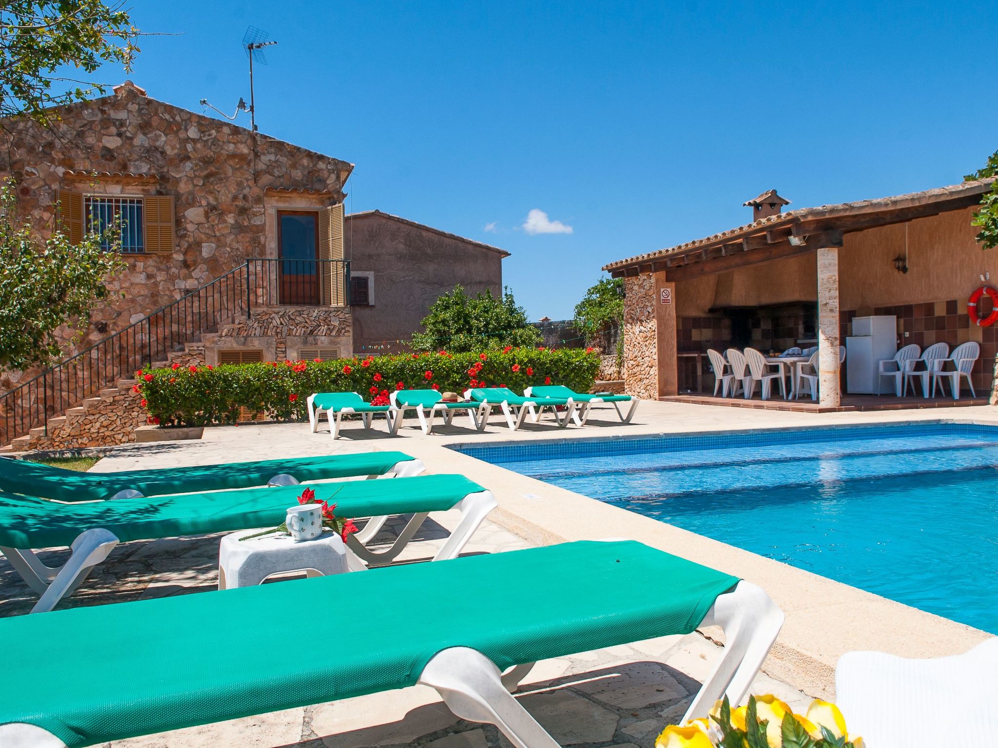 Moro-Image-tags.info