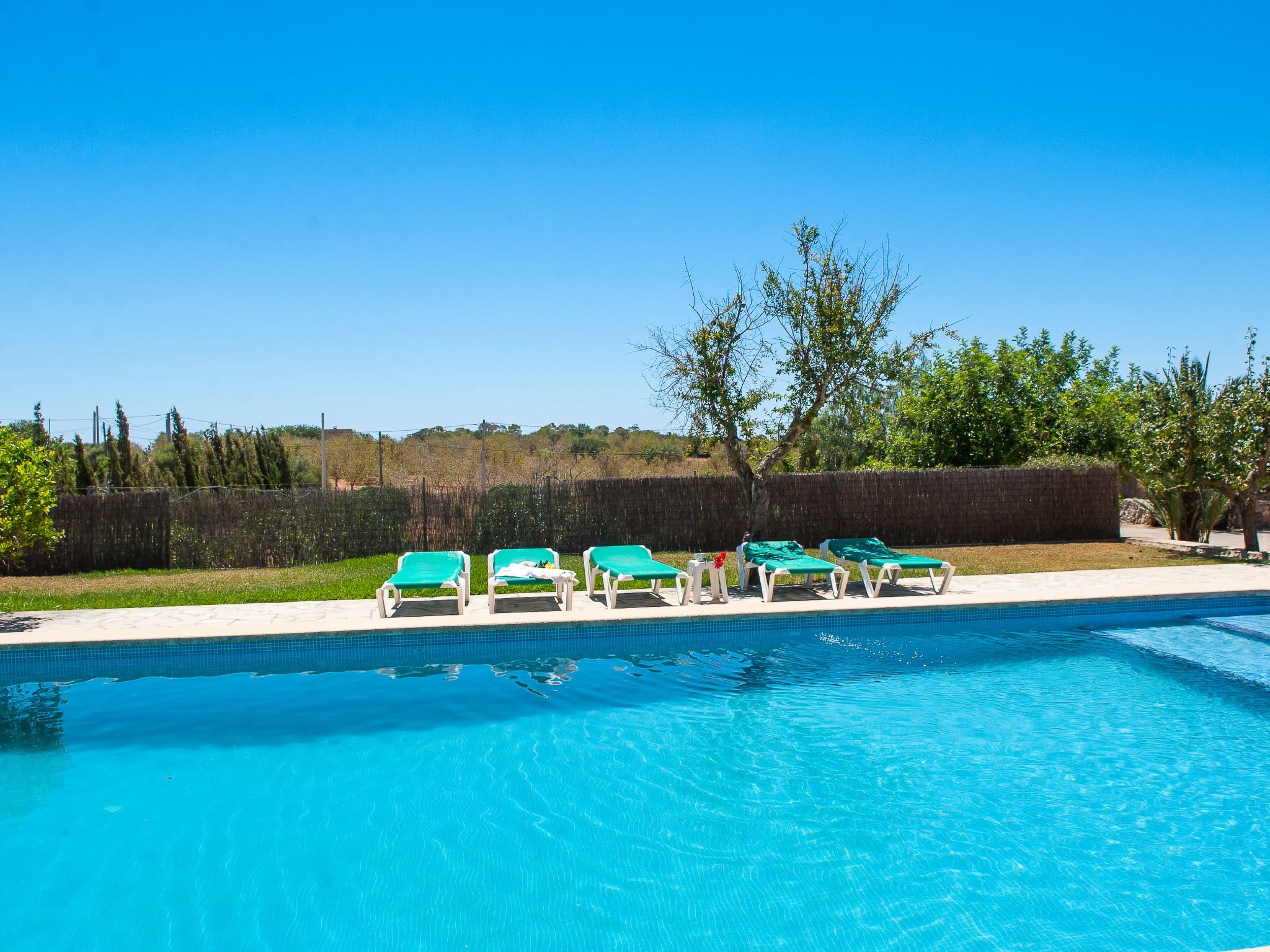 Moro-Image-tags.info