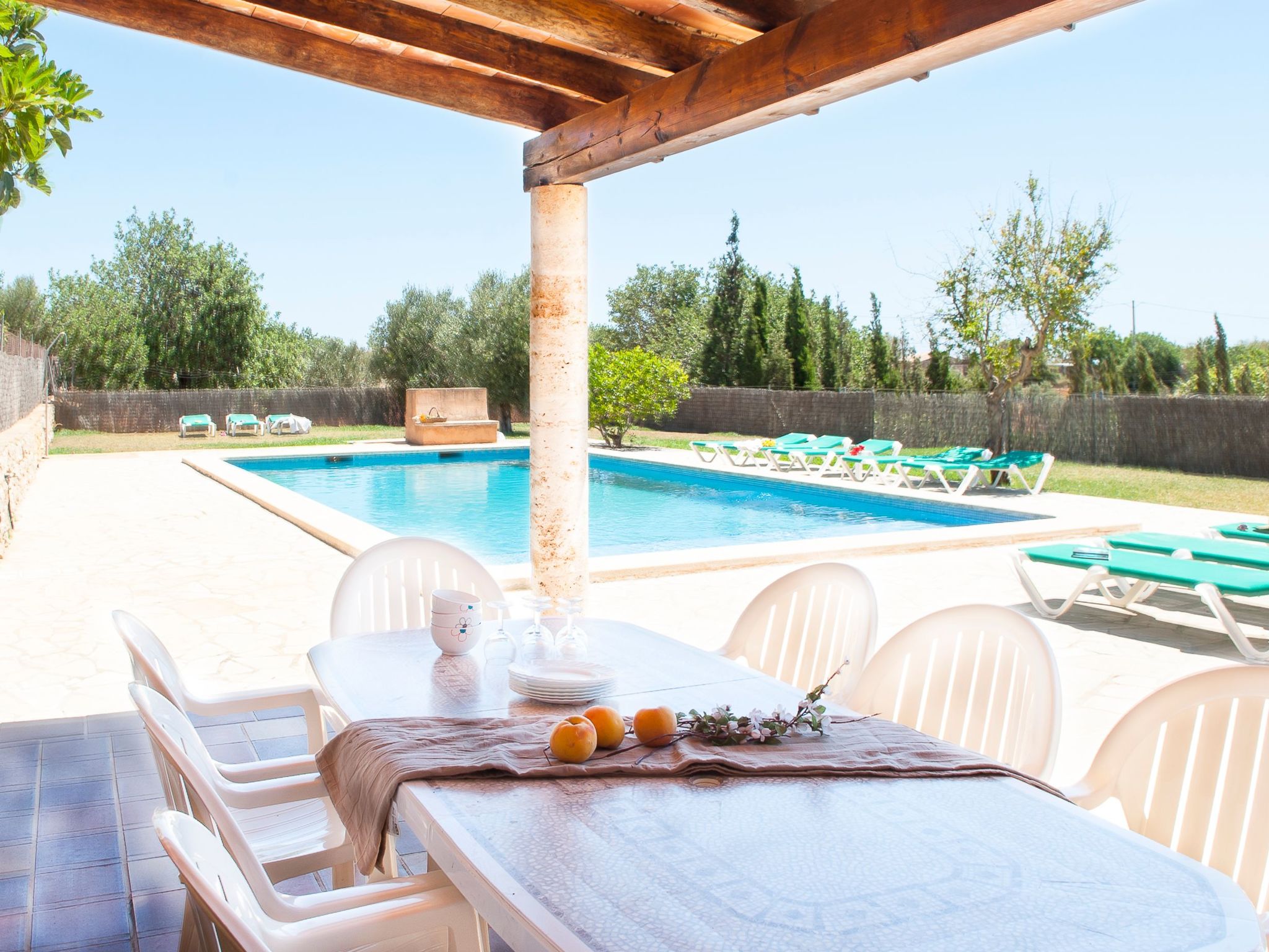 Moro-Image-tags.info