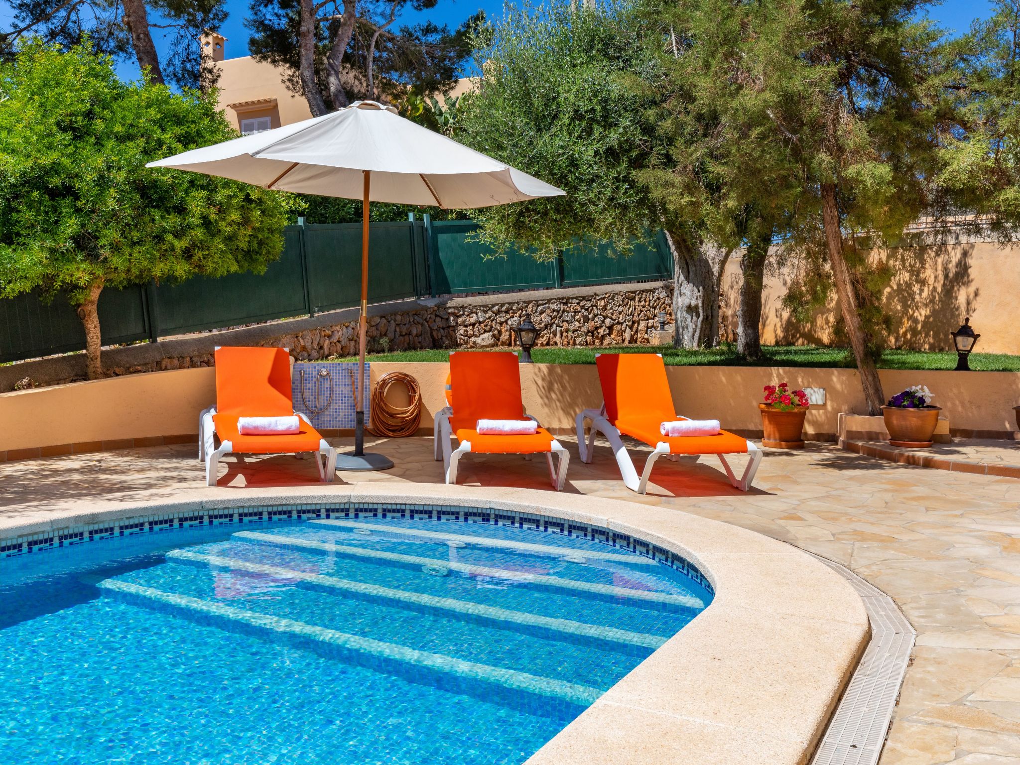 Vidal-Image-tags.info