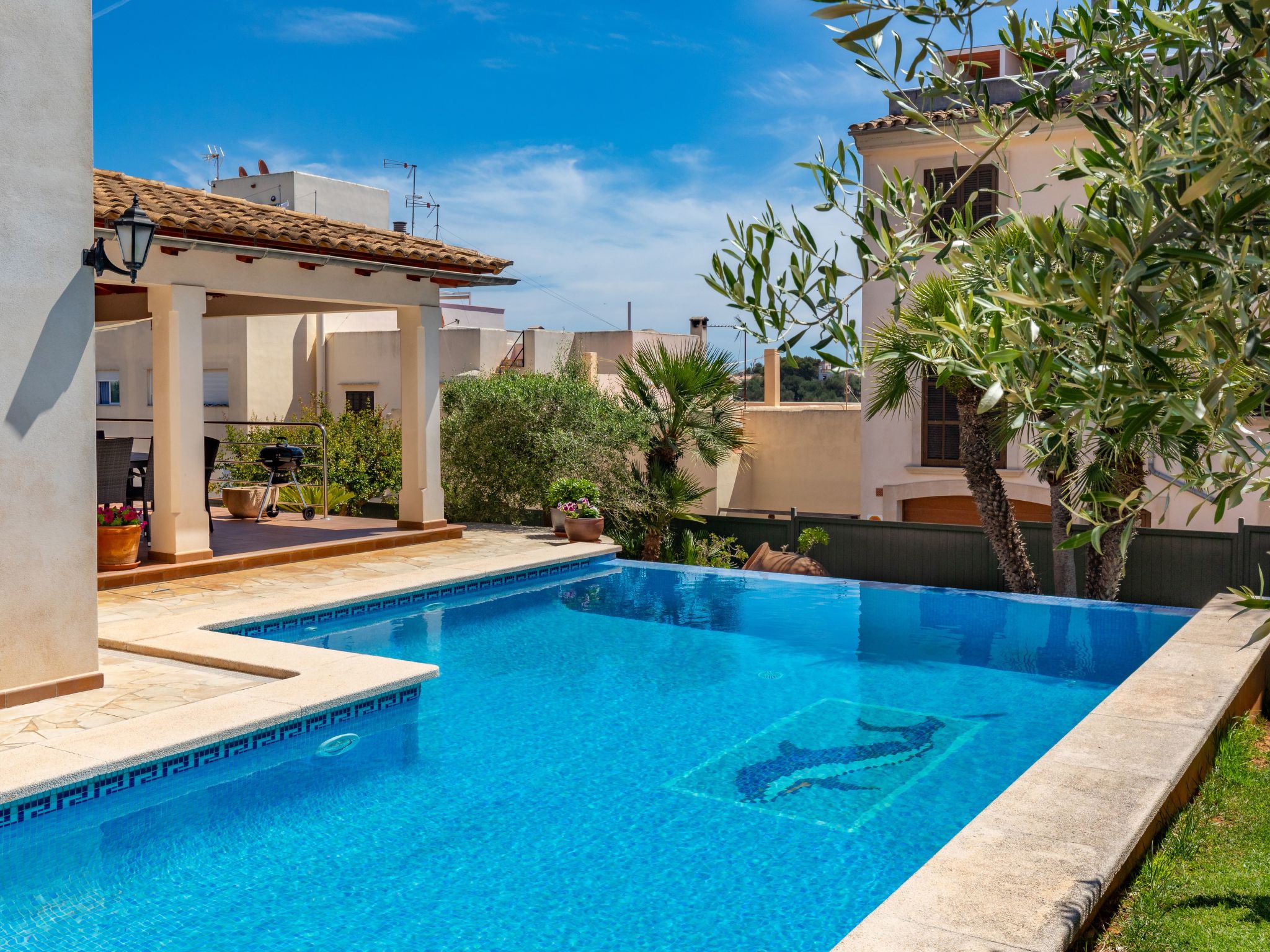 Vidal-Image-tags.info