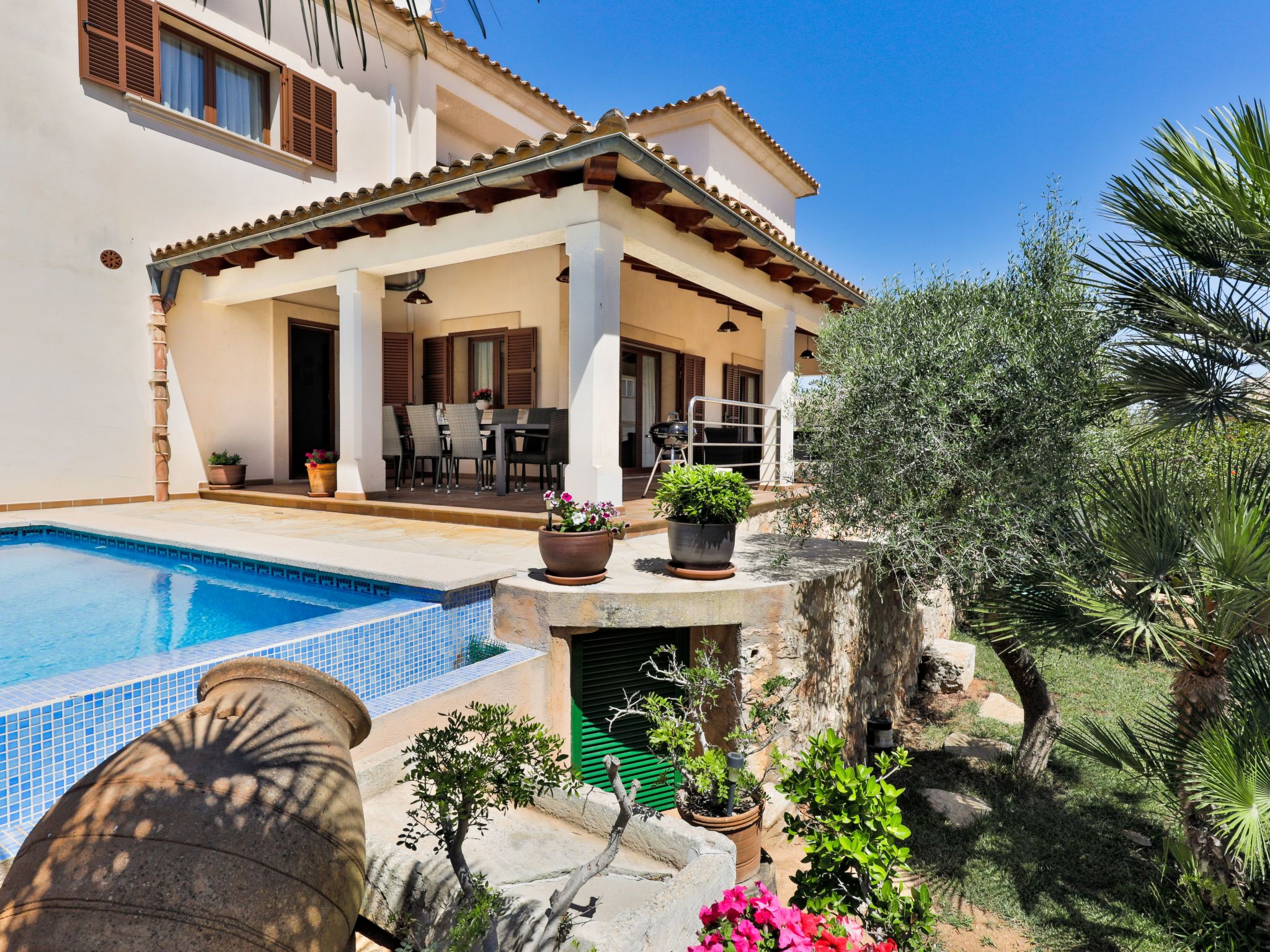 Vidal-Image-tags.info