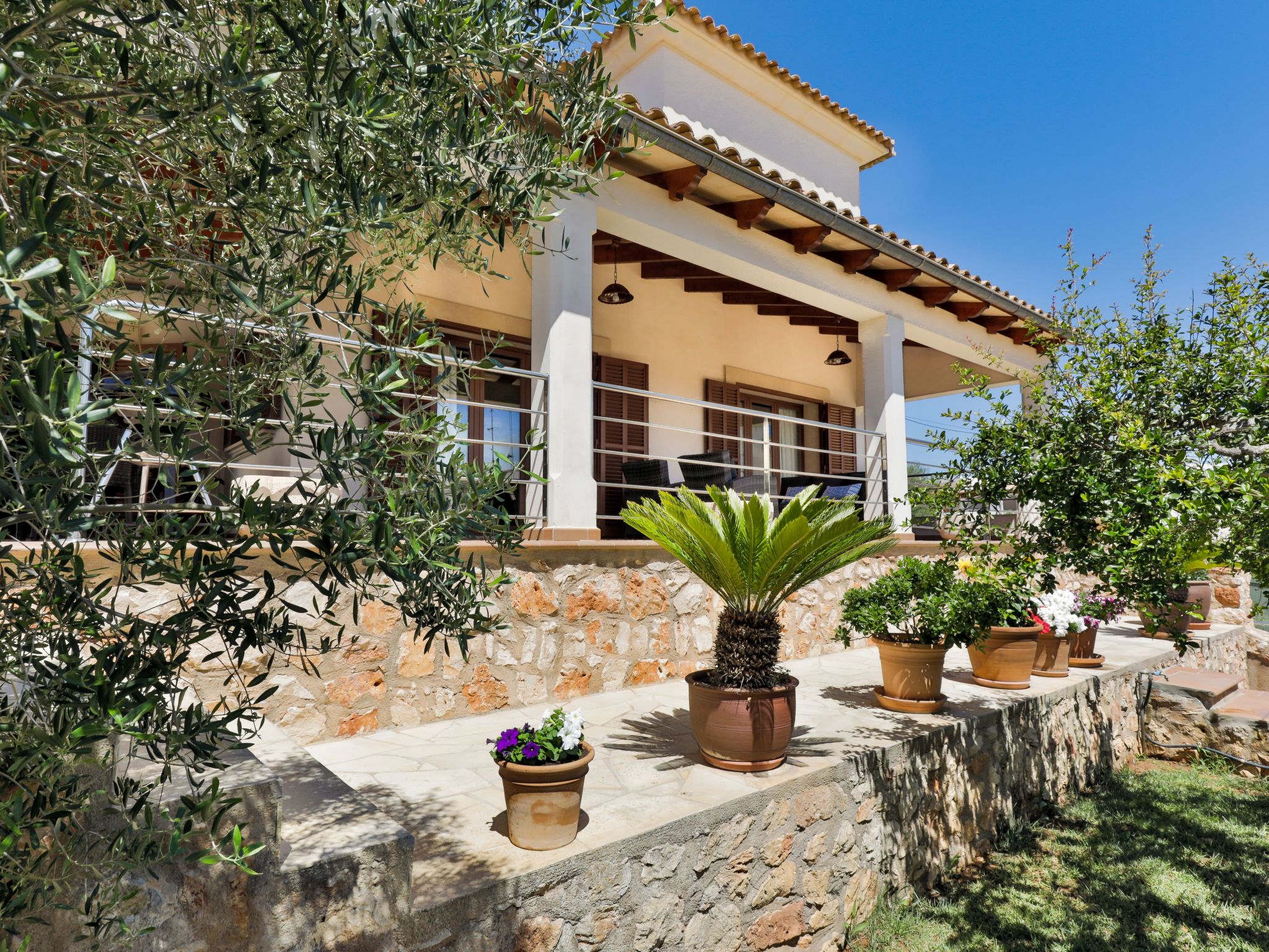 Vidal-Image-tags.info