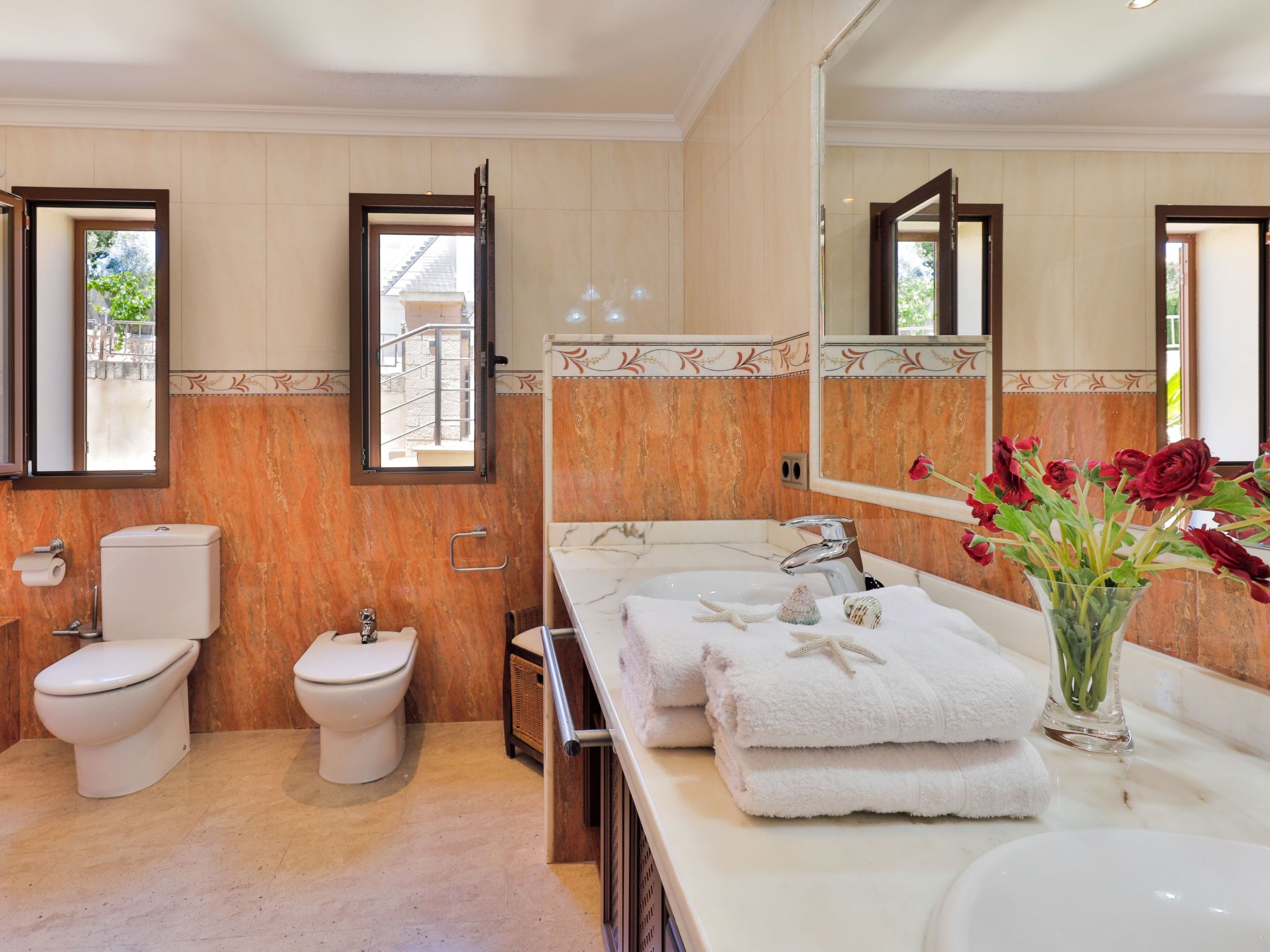 Vidal-Image-tags.info