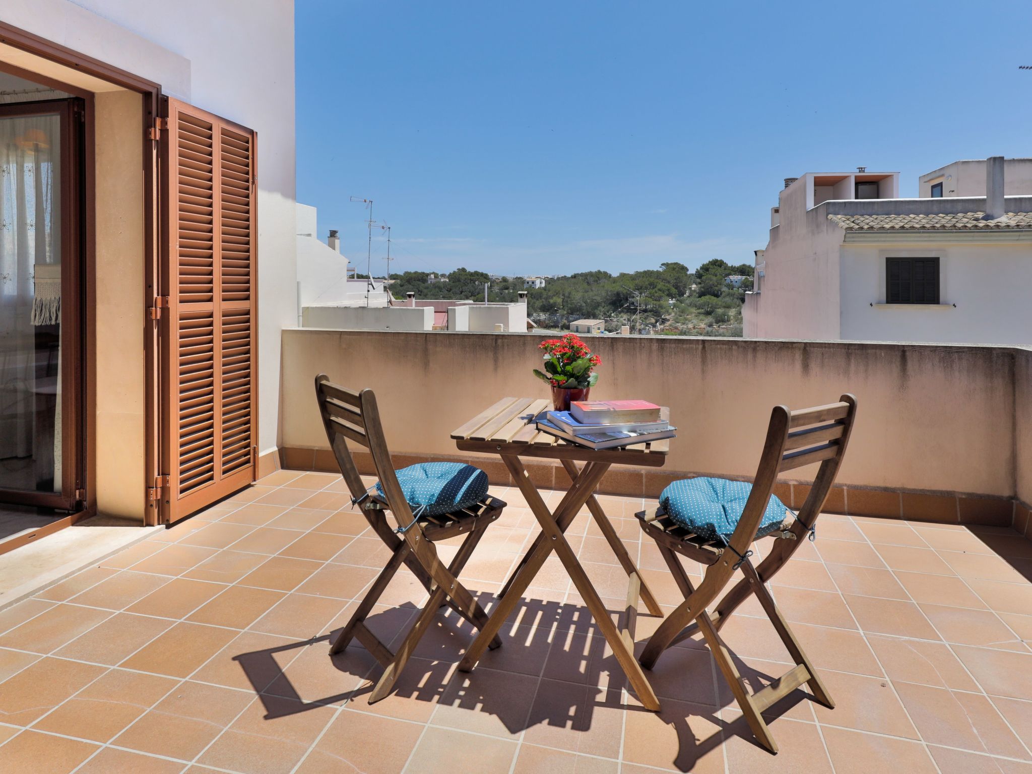 Vidal-Image-tags.info