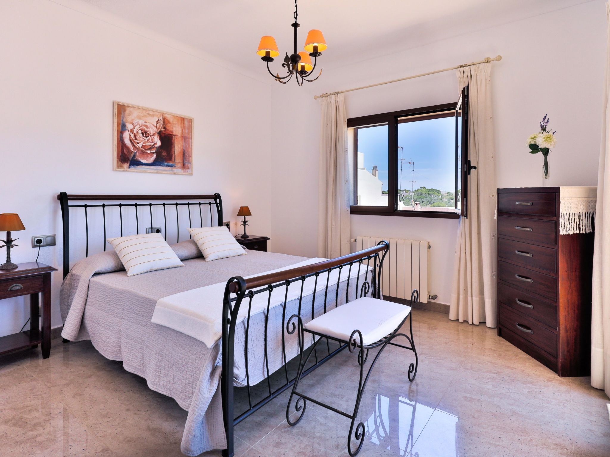 Vidal-Image-tags.info