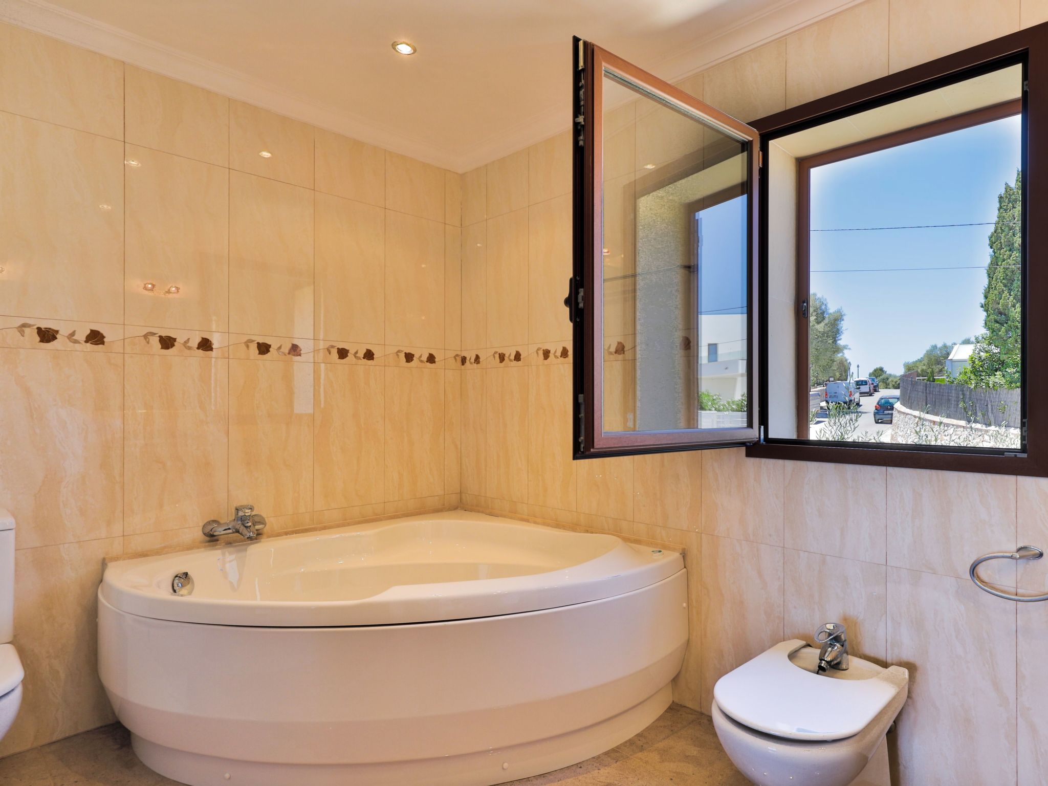 Vidal-Image-tags.info