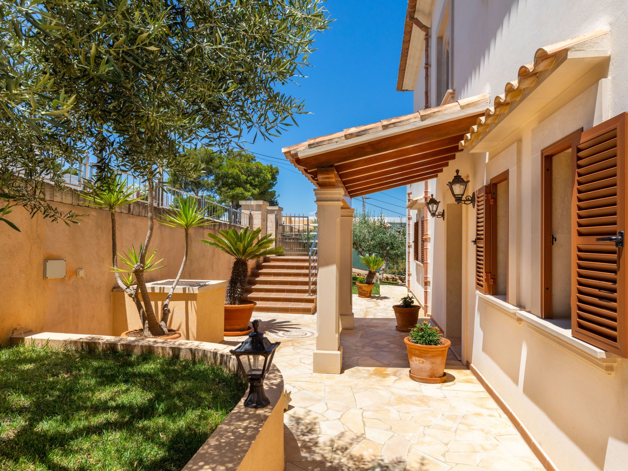 Vidal-Image-tags.info