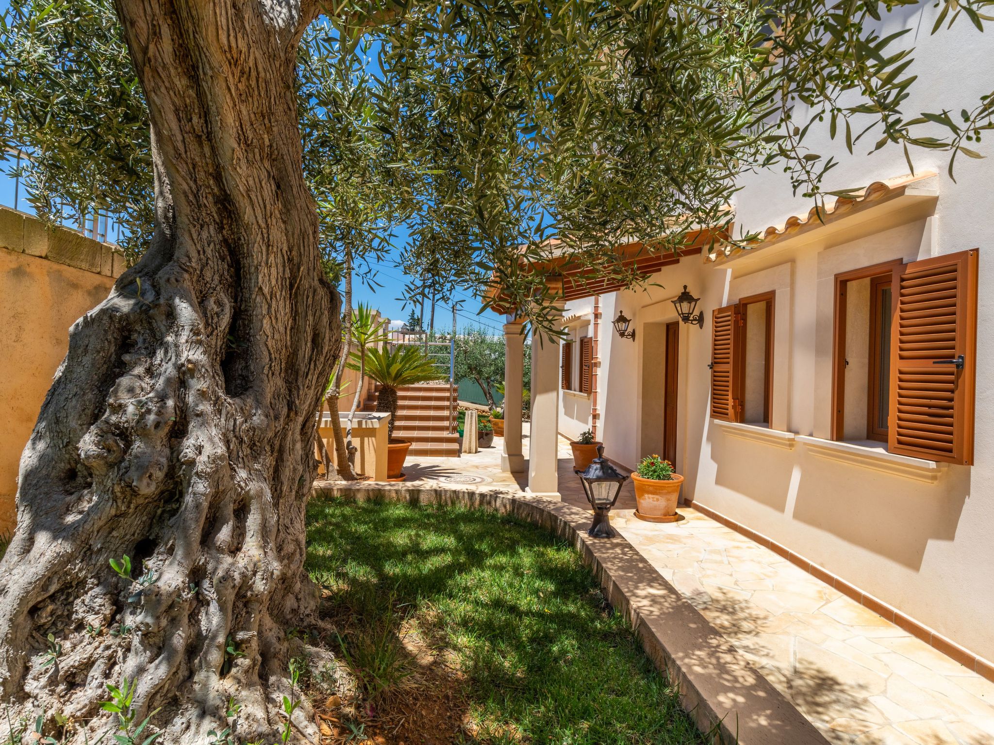 Vidal-Image-tags.info