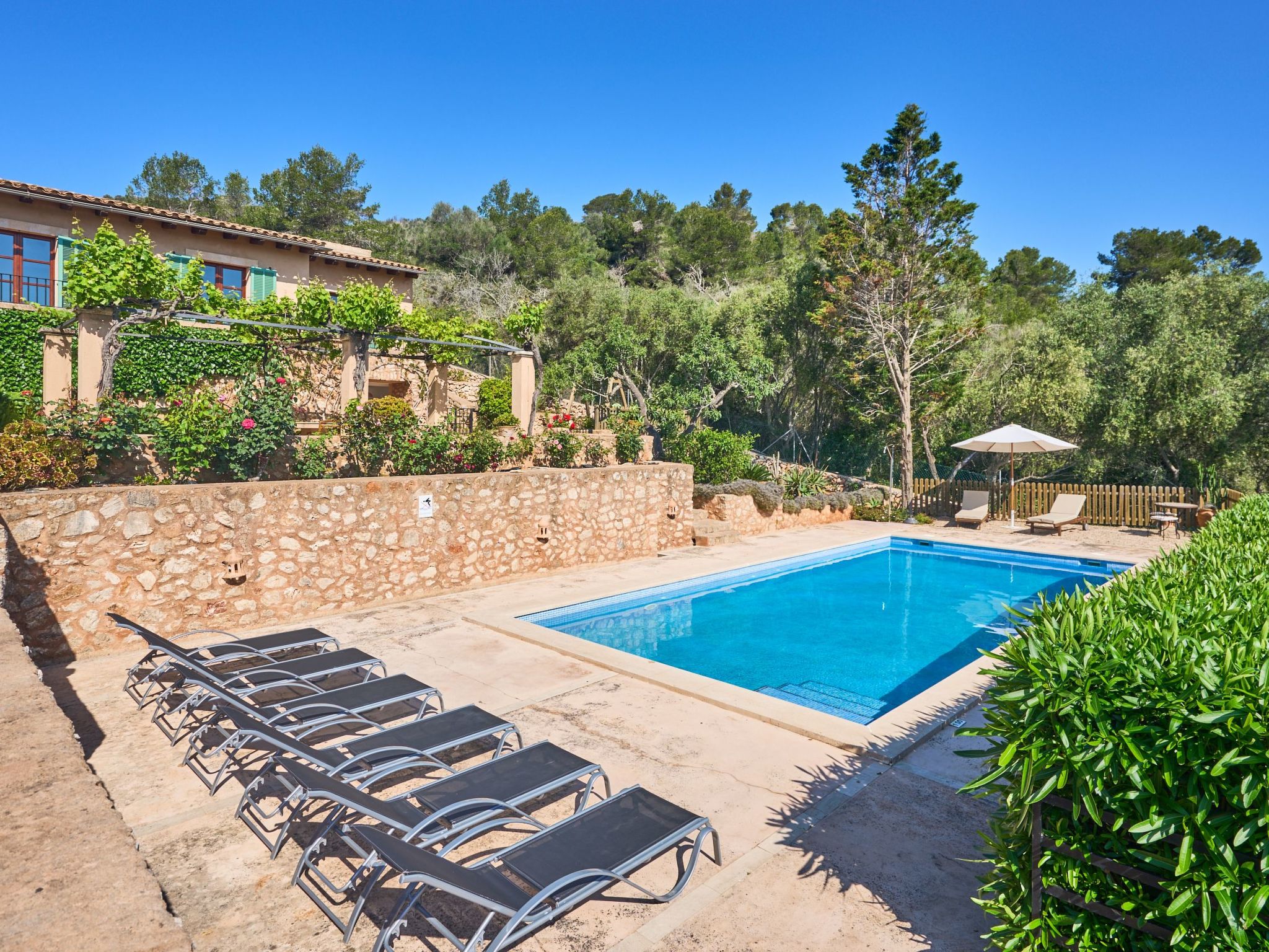 Penya Redona-Image-tags.info