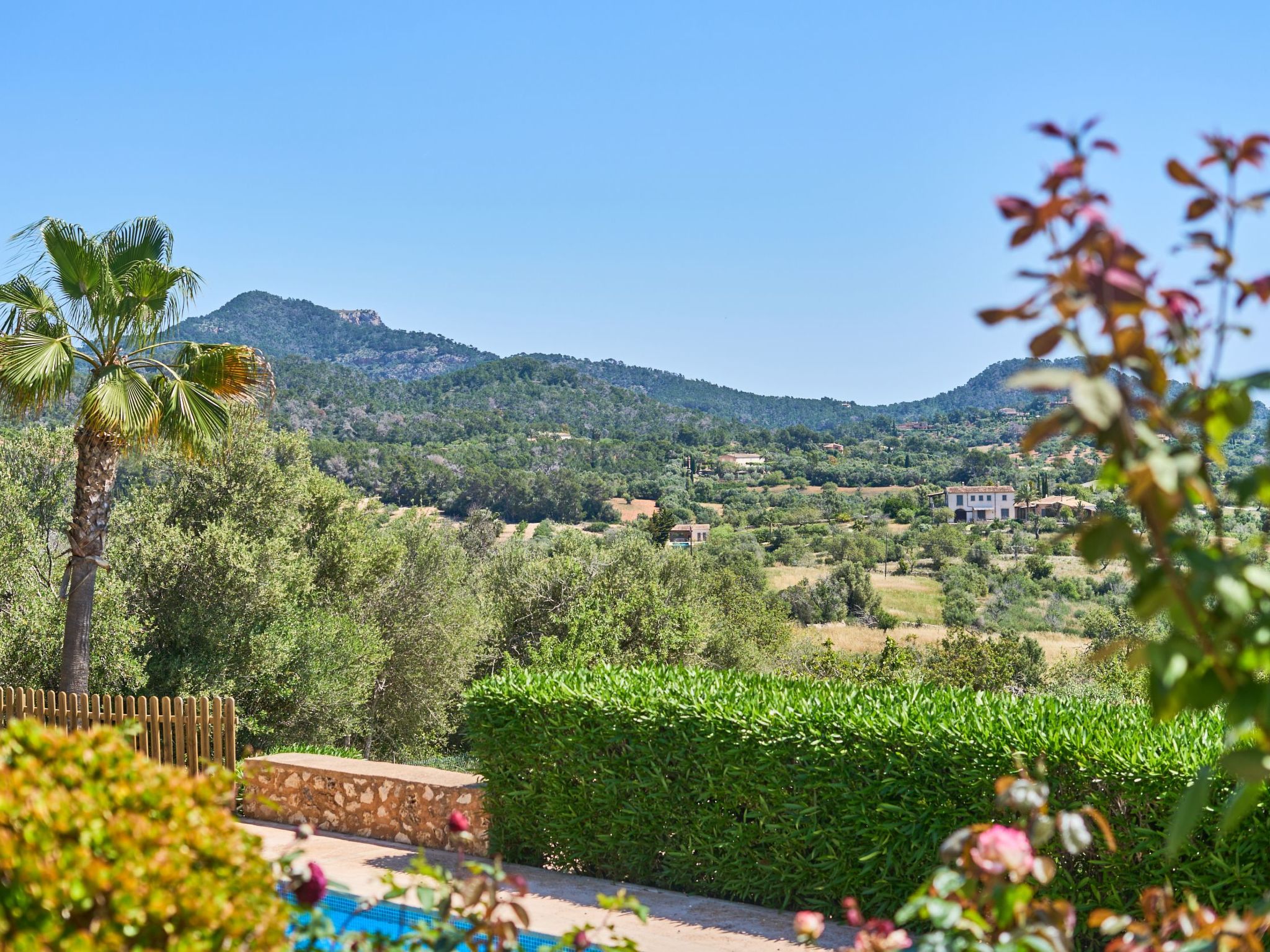 Penya Redona-Image-tags.info