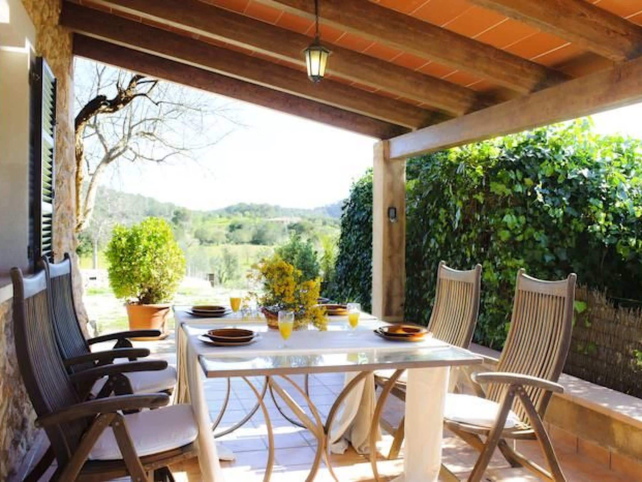 Alou-Image-tags.info